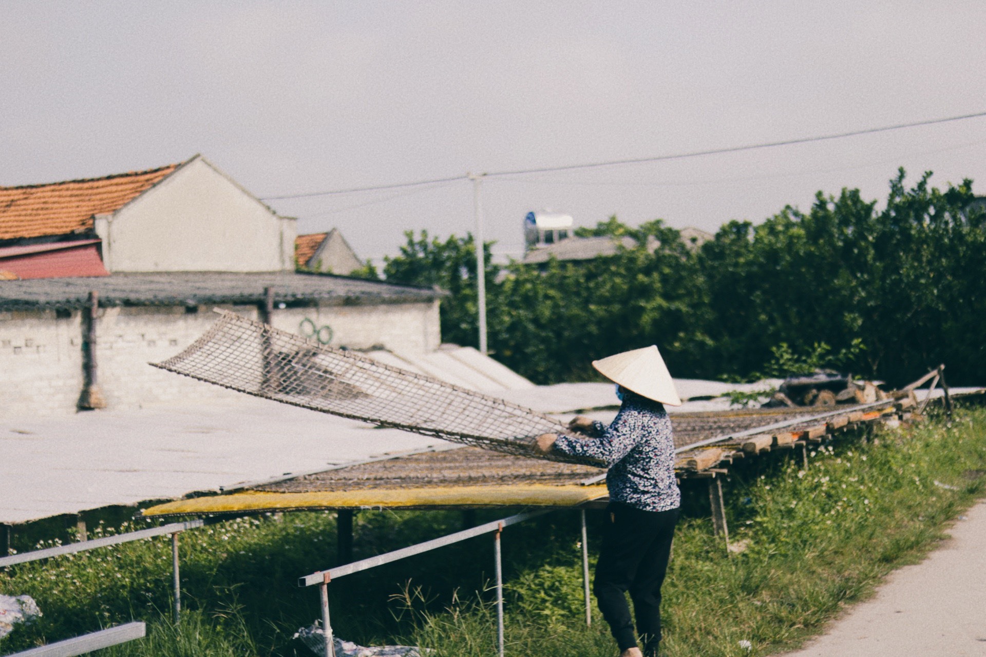 Lục Ngạn (Bắc Giang) không chỉ được biết đến là “vương quốc vải thiều”, mà còn có nghề thủ công truyền thống nổi tiếng với sản phẩm mỳ Chũ đã được Cục Sở hữu trí tuệ (Bộ Khoa học và Công nghệ) cấp bằng chứng nhận nhãn hiệu độc quyền.