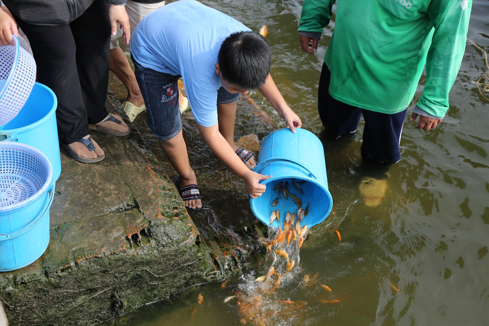 Nhiều gia đình cho con em đi thả cá chép để học hỏi phong tục, truyền thống của dân tộc.