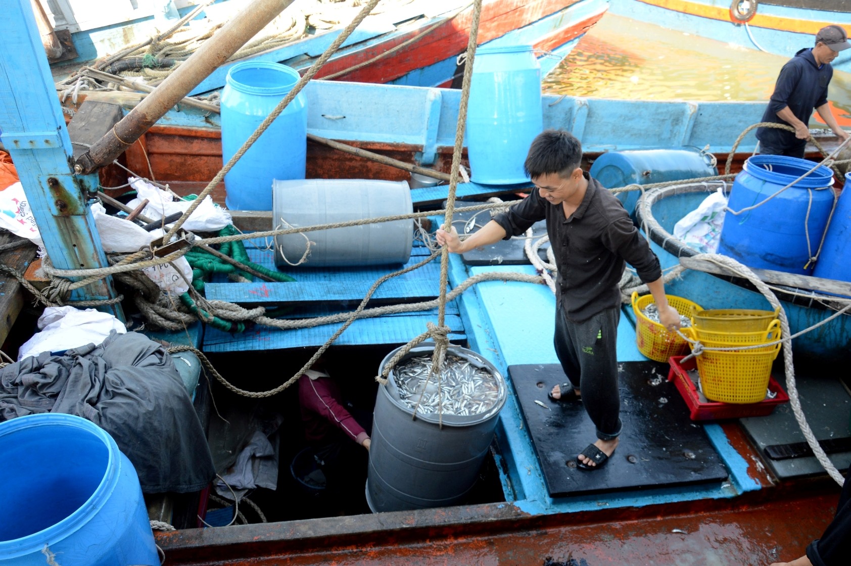 Những tháng cuối năm là thời điểm cá cơm quần tụ về vùng biển Quảng Ngãi nhiều nhất.Tàu chạy cách bờ khoảng 15 hải lý là có thể tìm được những luồng cá cơm trú ngụ dày đặc. Ảnh: Ngọc Viên