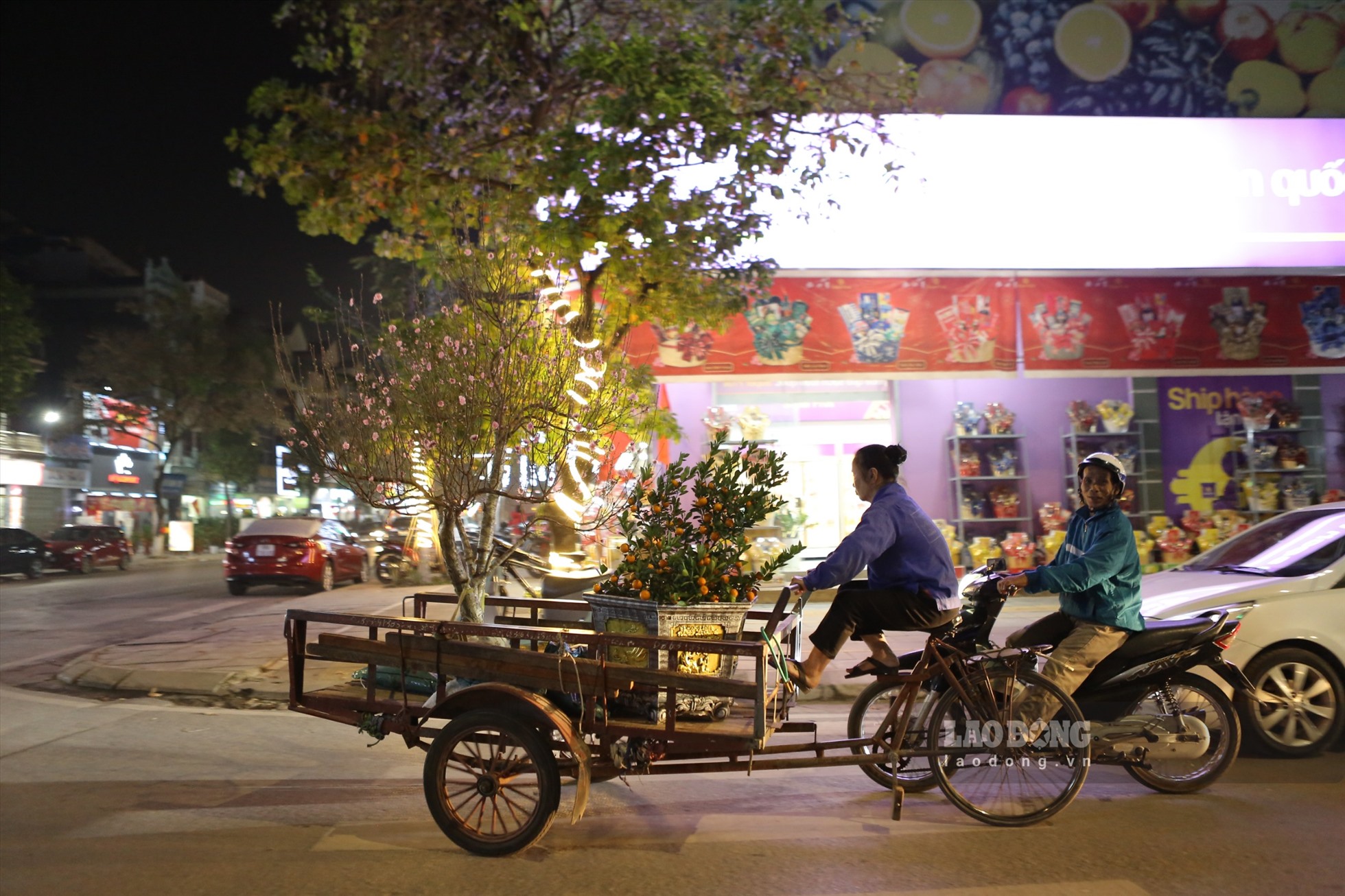 Do công việc thời vụ, chỉ diễn ra trong thời gian ngắn nhưng lại đem lại thu nhập cao, nên lượng người làm nghề vận chuyển cây cảnh Tết ngày càng đông. Tại các chợ hoa Tết trên địa bàn tỉnh Bắc Giang, có tới cả trăm người làm dịch vụ chở thuê đào quất, đa phần họ đều là những lao động tự do, xe ôm. Công việc có phần vất vả, tuy nhiên, đổi lại họ có thêm một khoản thu nhập, trang trải cho một cái Tết đủ đầy hơn. Ảnh Nguyễn Kế.