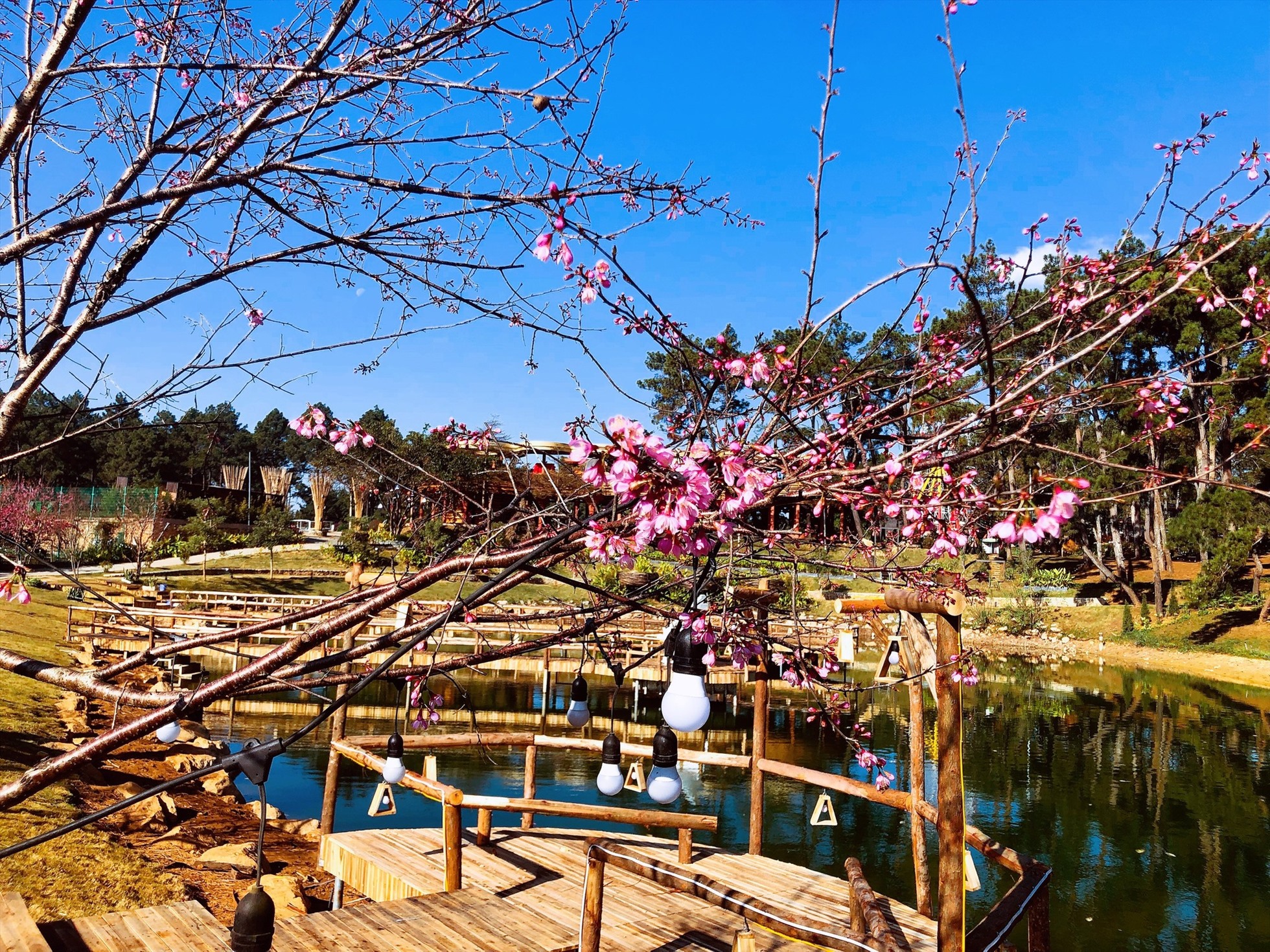 Nằm trên cao nguyên với khí hậu mát lạnh quanh năm, nơi đây được ví như Đà Lạt thu nhỏ của vùng Tây Bắc.