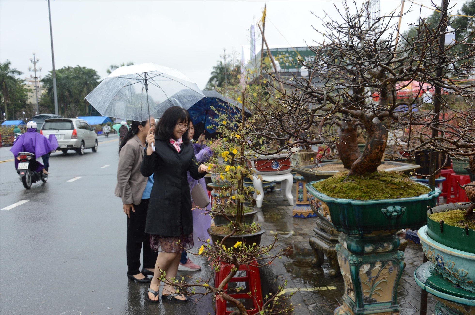 Chợ hoa Tết khá vắng vẻ, một số người đi xem hoa phải mang theo ô dù. Ảnh: Ngọc Viên