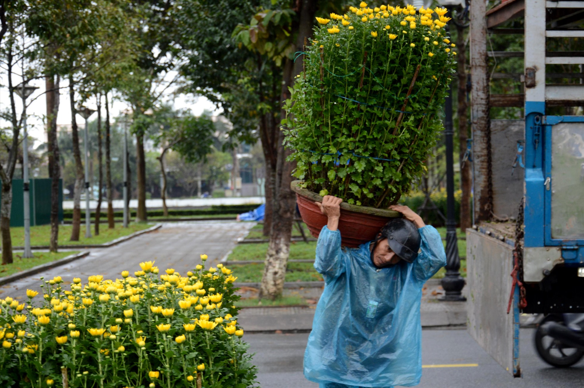 Mưa lạnh kéo dài, nhiều người mưu sinh bằng việc khuân vác hoa Tết ở quảng trường Phạm Văn Đồng cũng khá vất vả. Ảnh: Ngọc Viên