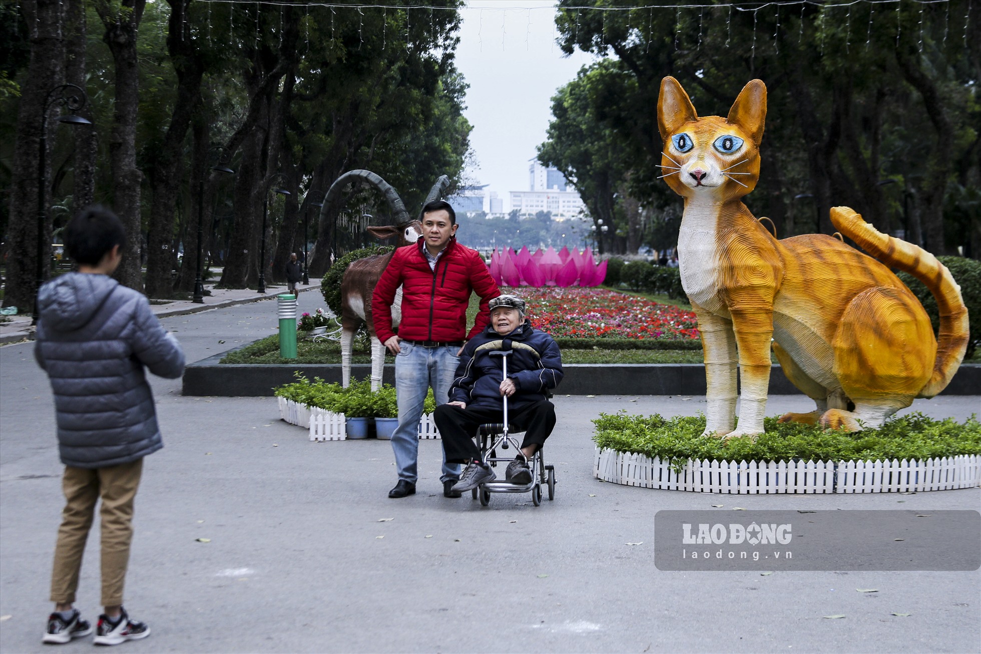 Tại Công viên Thống Nhất - Hà Nội, xuất hiện linh vật hình con mèo được quấn ngoài bằng dây nilon để tạo hình, có kết hợp đèn chiếu sáng hướng ra phía đường Trần Nhân Tông đã gây được sự chú ý của người dân.