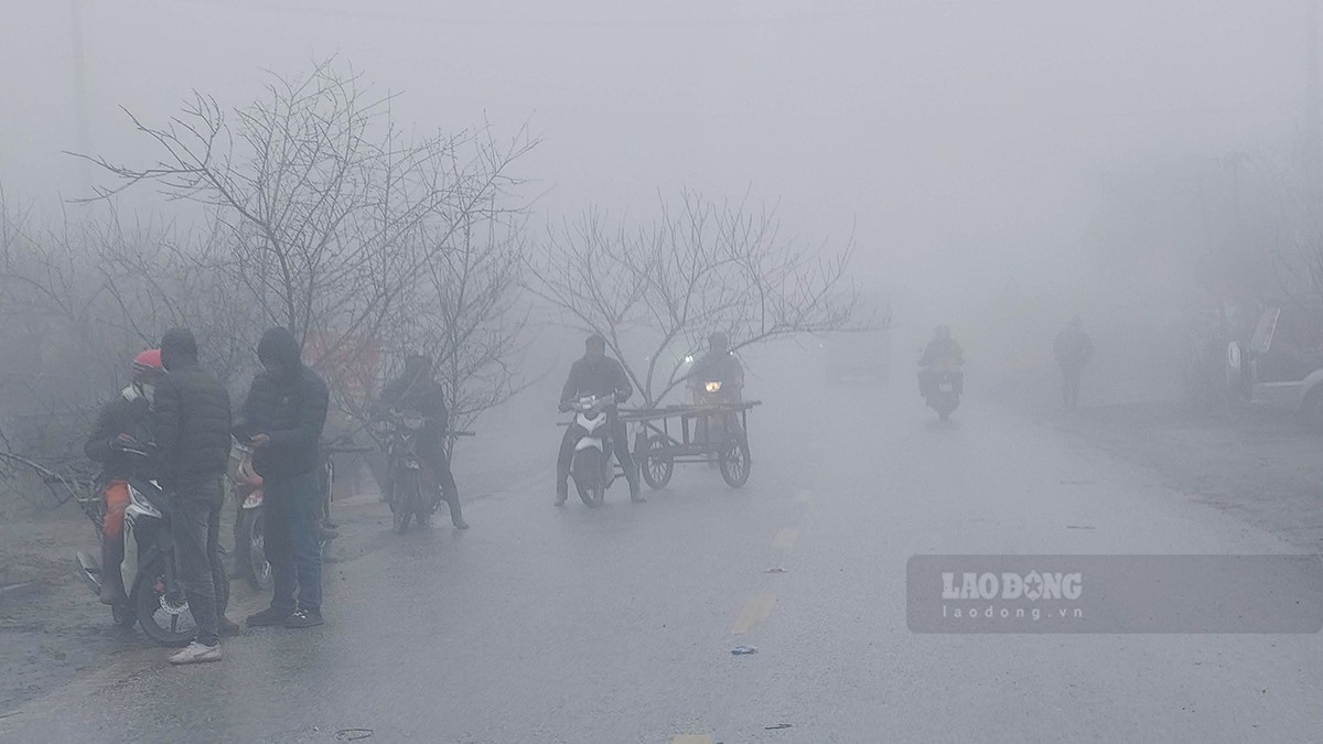 Hơn 9h ngày 18.1 (27 Tết), thời tiết tại Vân Hồ và Mộc Châu vẫn ở ngưỡng 3-5 độ, sương mù dày đặc.