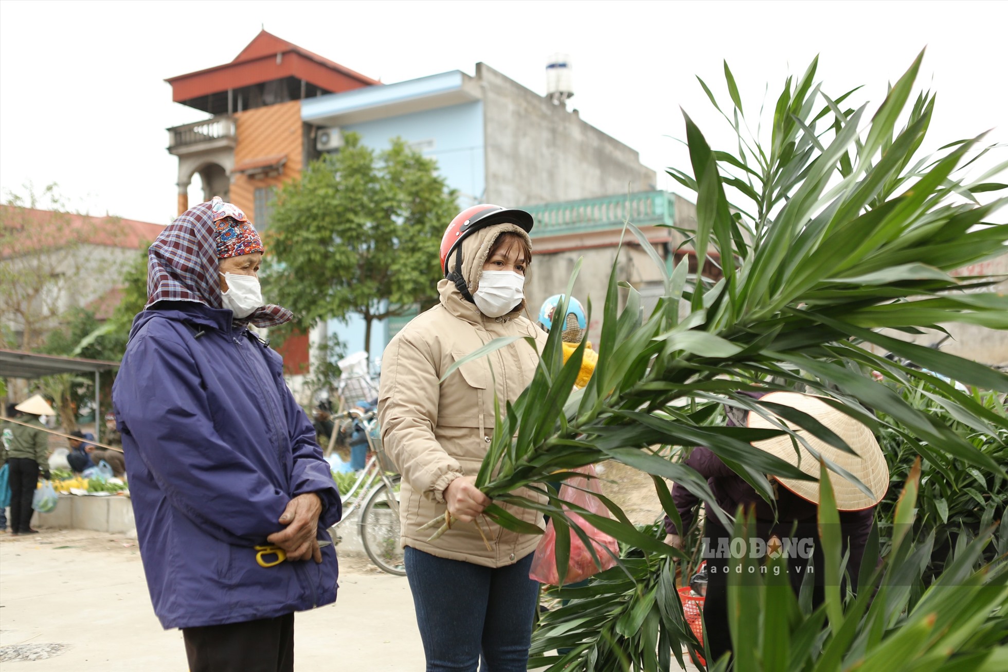 Với những đứa trẻ vùng quê, chợ Tết là cả một thế giới sắc màu, một không gian mơ ước với bao điều thú vị tưởng gần mà xa. Được theo mẹ, theo bà đi chợ Tết là niềm vui nhớ mãi trong những ngày cuối năm là kỉ niệm chắc hẳn khó quên với những đứa trẻ thế hệ 8x, 9x . Hương vị của Tết đằm sâu trong phiên chợ quê. Ở đó, còn có tình thương của mẹ, nỗi khó nhọc của ba khi bán tạ thóc đôi lợn con để sắm cho các con đôi dép, bộ đồ.