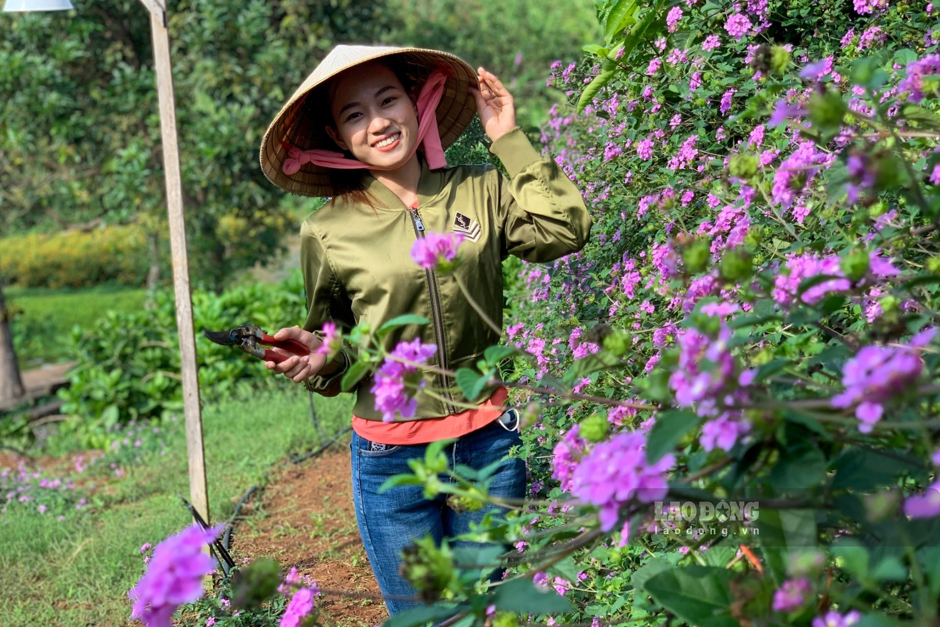 Chị Nguyễn Mỹ Ngọc, chủ nhân “Khu vườn nhỏ” cho biết ý định muốn tạo một không gian hòa hợp với thiên nhiên nên quyết định tìm các loại hoa từ Đà Lạt, Đồng Tháp và ngay tại Đắk Lắk  về chăm sóc, tạo thành một khu vườn hoa cho du khách đến thăm quan, hòa mình vào thiên nhiên.