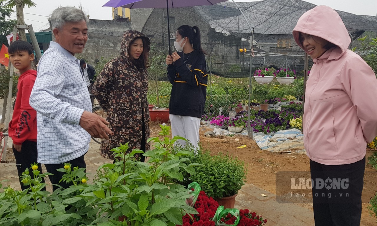 Đến nay, nghề trồng hoa ở Ninh Phúc dần chiếm vị trí chủ đạo, trở thành nguồn thu nhập chính của phần lớn người dân địa phương (mỗi hộ có thể có doanh thu hàng trăm triệu đồng mỗi năm). Ảnh: Diệu Anh