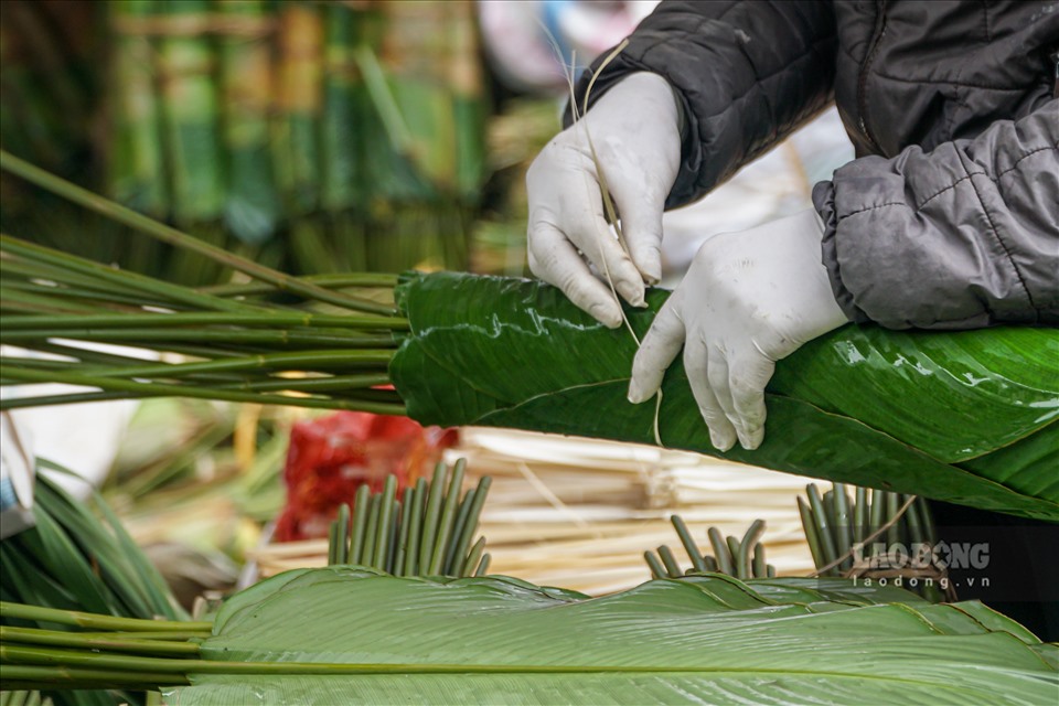 Những chiếc lá dong được các chủ cửa hàng bó cẩn thận và thường xuyên tưới nước để lá không bị khô.