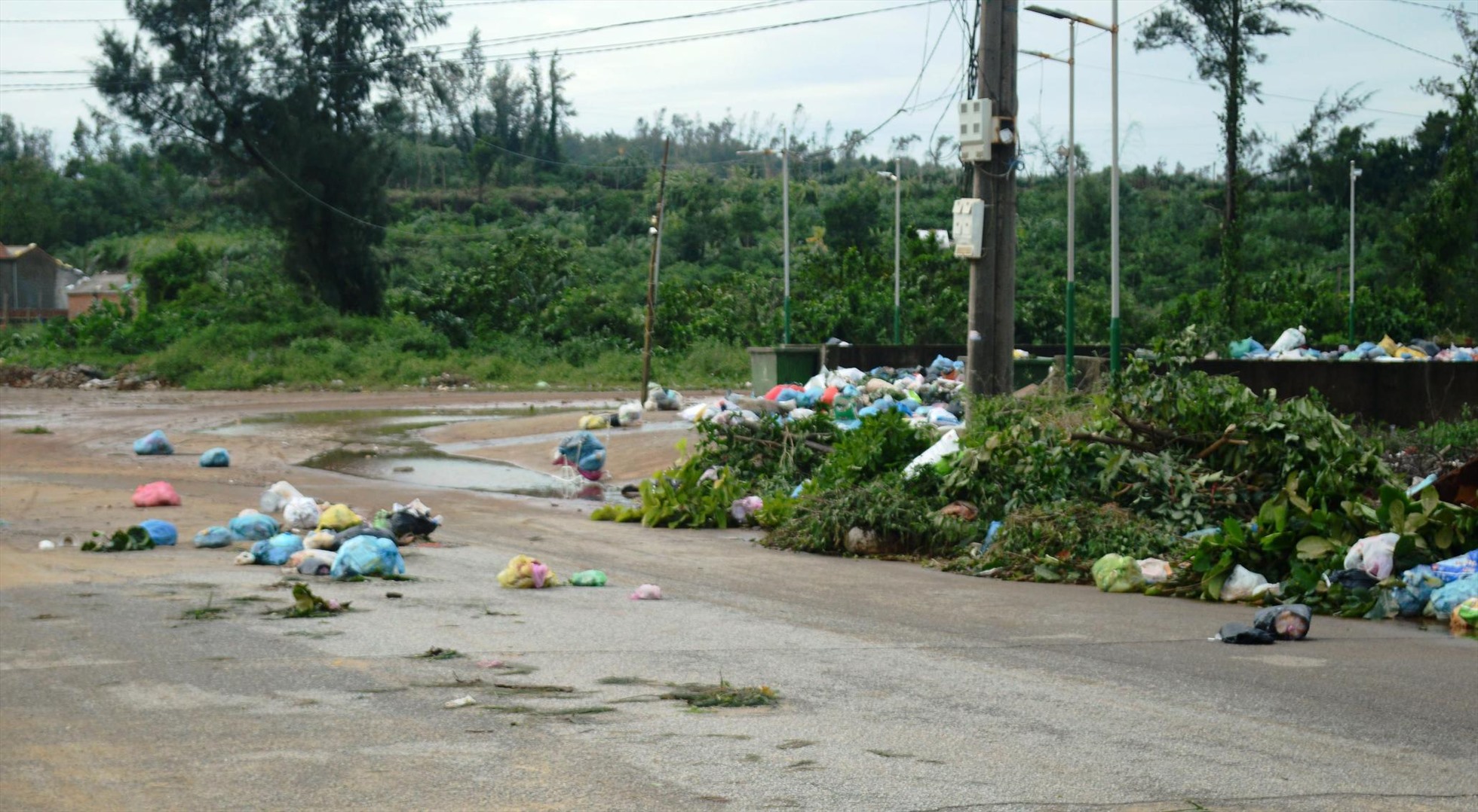 Nhiều người dân ở xã Bình Hải không đổ rác đúng nơi quy định mà tiện tay vứt rác thải ra đường ở gần điểm tập kết rác. Ảnh: Ngọc Viên