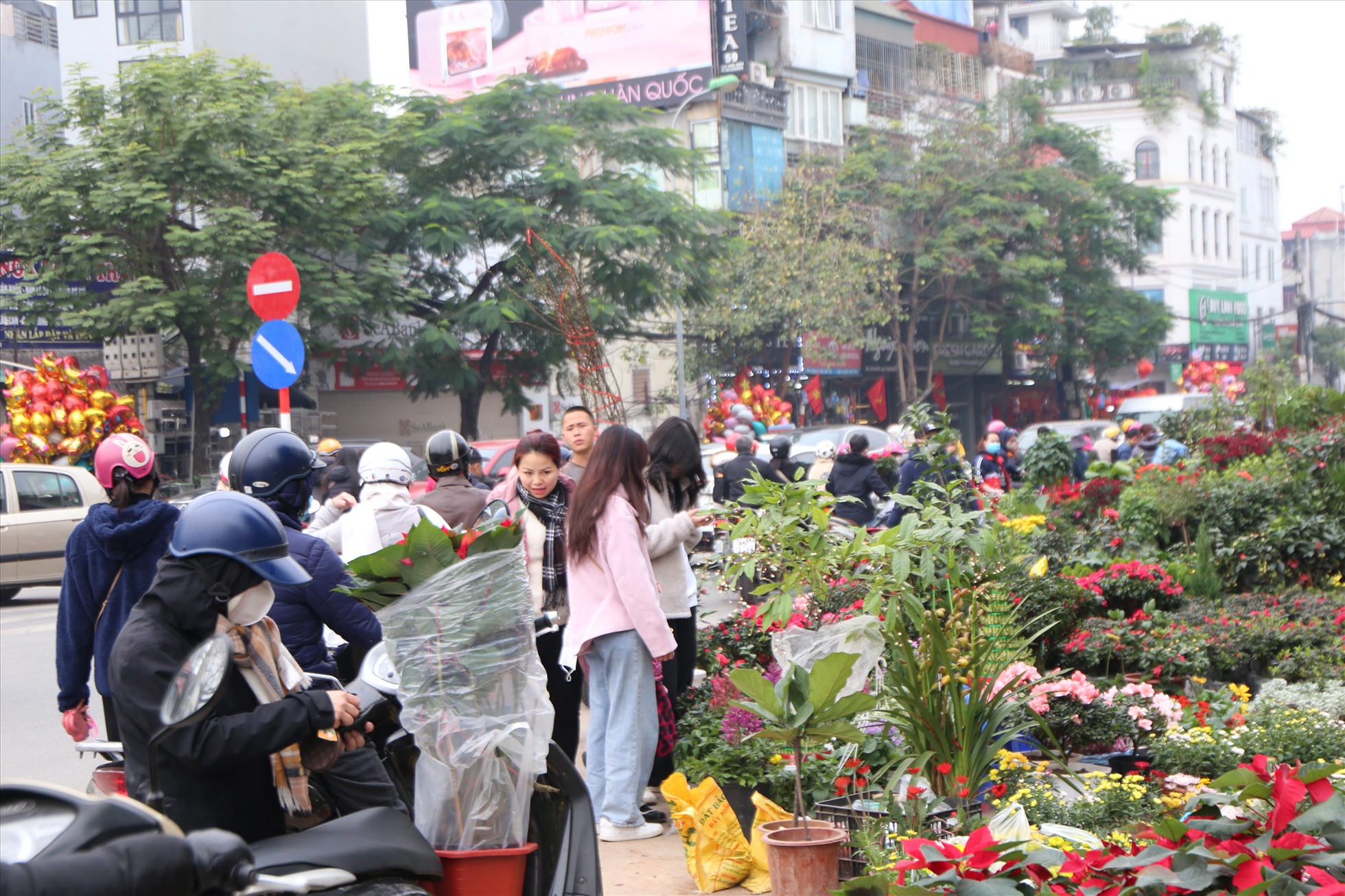 Chợ hoa, cây cảnh lâu đời nhất nhì tại Hà Nội này luôn là điểm đến không thể bỏ qua của người dân mua sắm Tết dịp cuối năm. Ảnh: Hữu Chánh