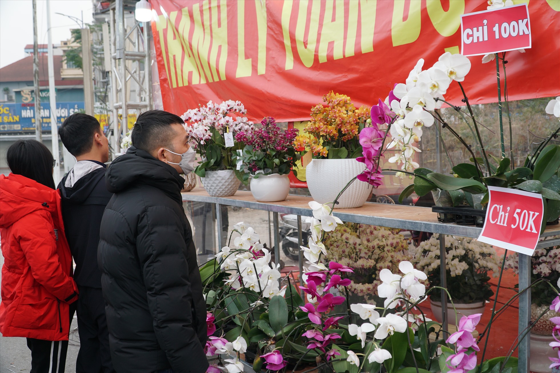 Đây cũng là thời điểm mà nhiều người dân lựa chọn để mua hoa vì giá rẻ.