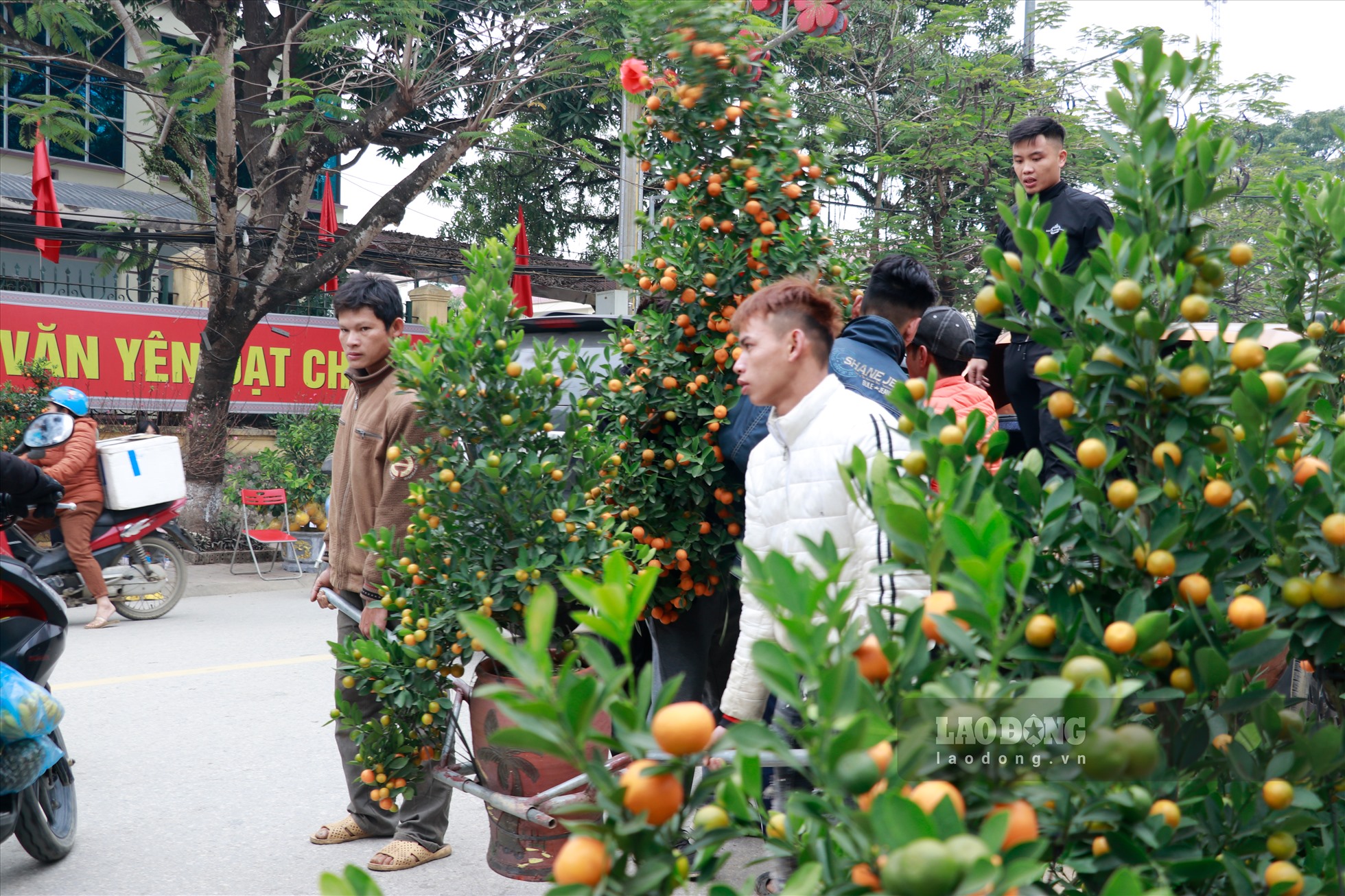 Cũng trong buổi chiều ngày 30 Tết này, những gian hàng bán đào, quất hối hả.