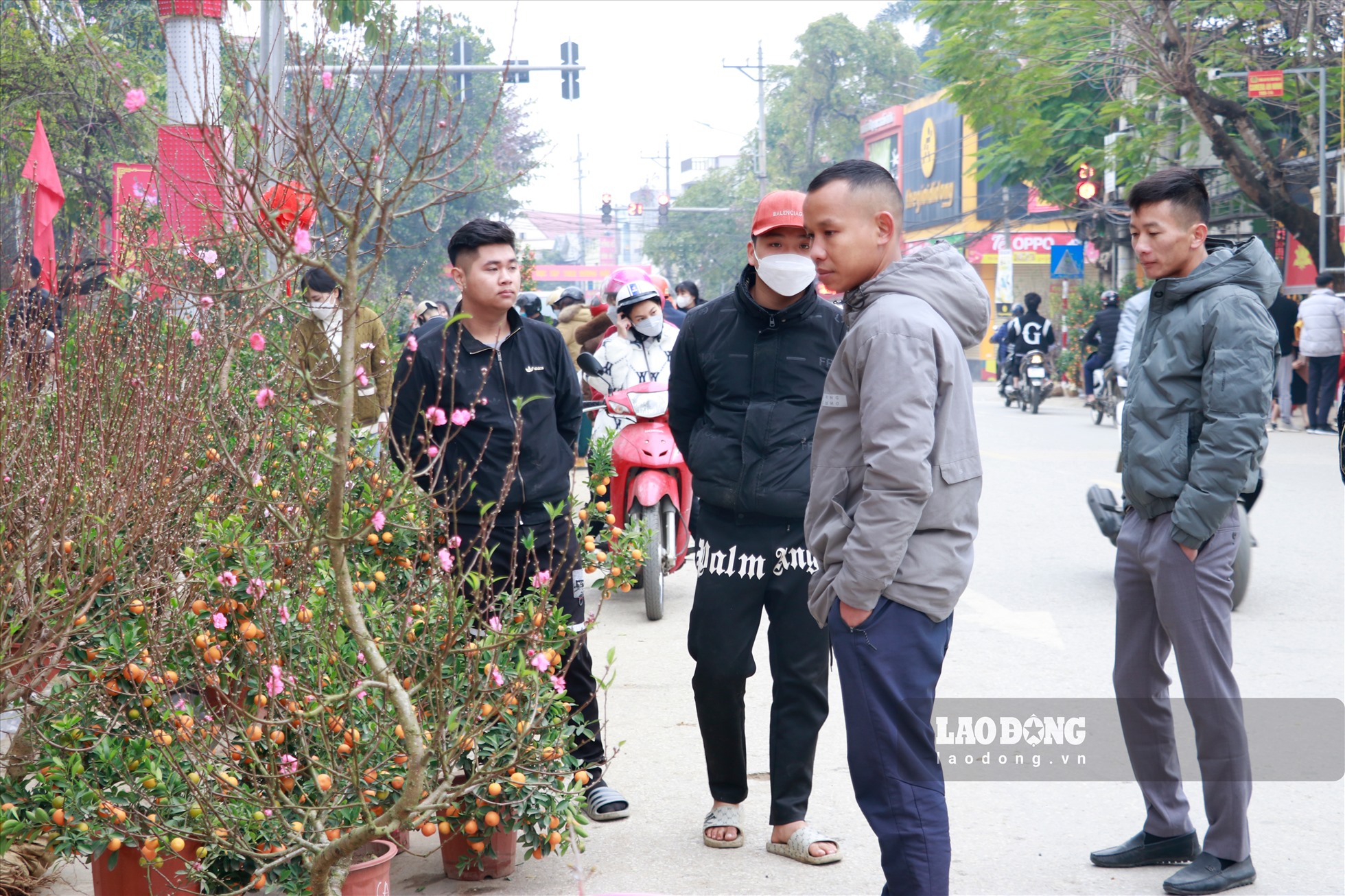 Theo những người bán hàng tại đây, sẽ chỉ bán đến 18h, sau đó những cành đào, quất còn lại sẽ được xe chở về vườn để trồng.