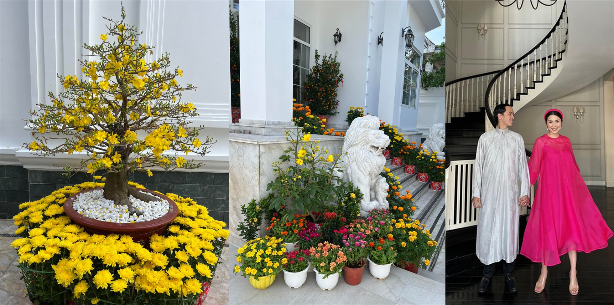Tăng Thanh Hà khoe một số góc trong căn biệt thự được trang trí bởi mai vàng, các loại cúc với màu sắc rực rỡ, vạn thọ.
