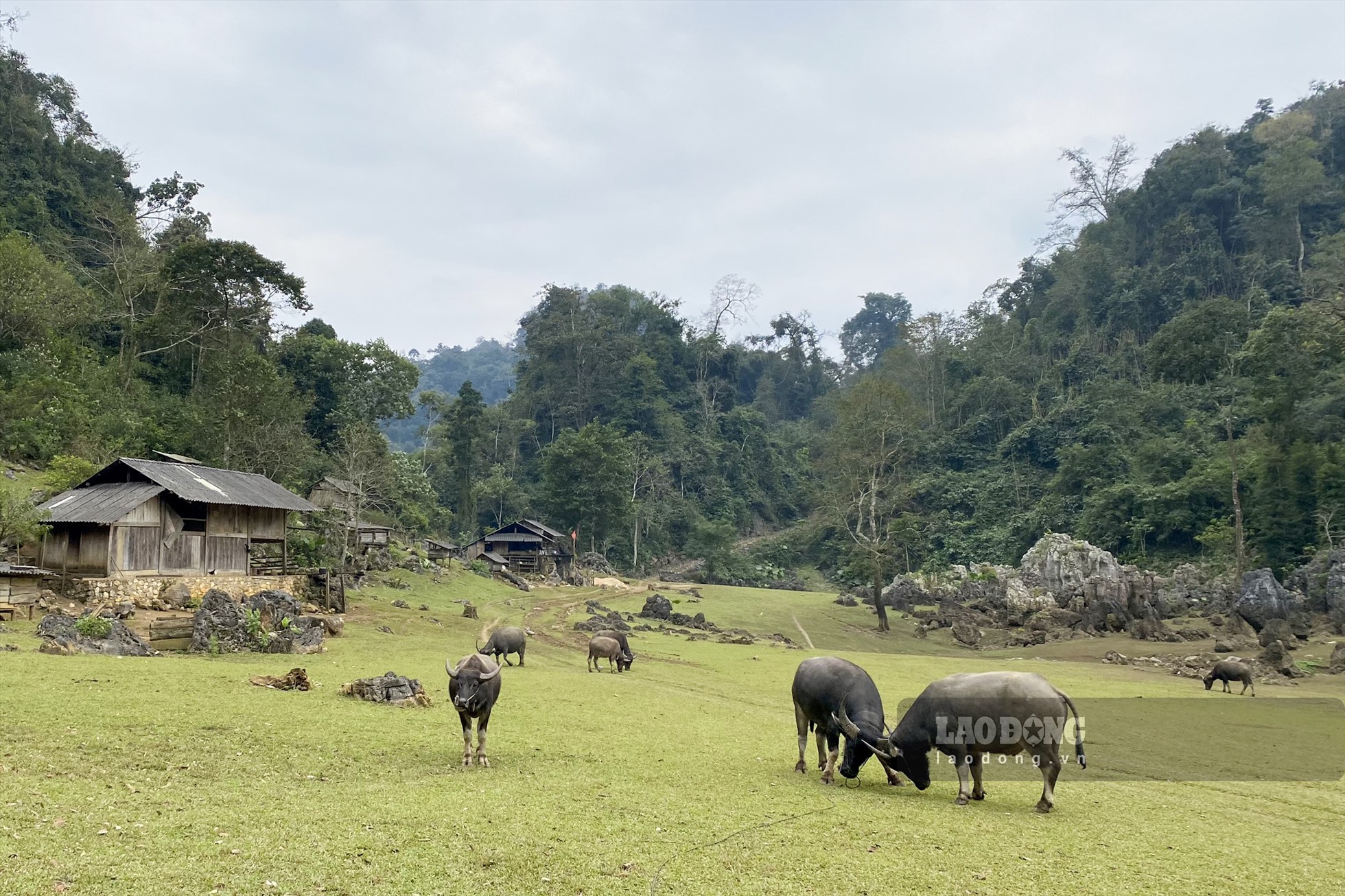 Người dân trong làng cho biết, đây là khu vực họ chăn thả gia súc và là nơi để trẻ em xuống ở cùng bố mẹ vào những ngày cuối tuần. Nhiều du khách đã đặt cho ngôi làng nhỏ cái tên rất thi vị là nơi người Mông trốn thế giới.