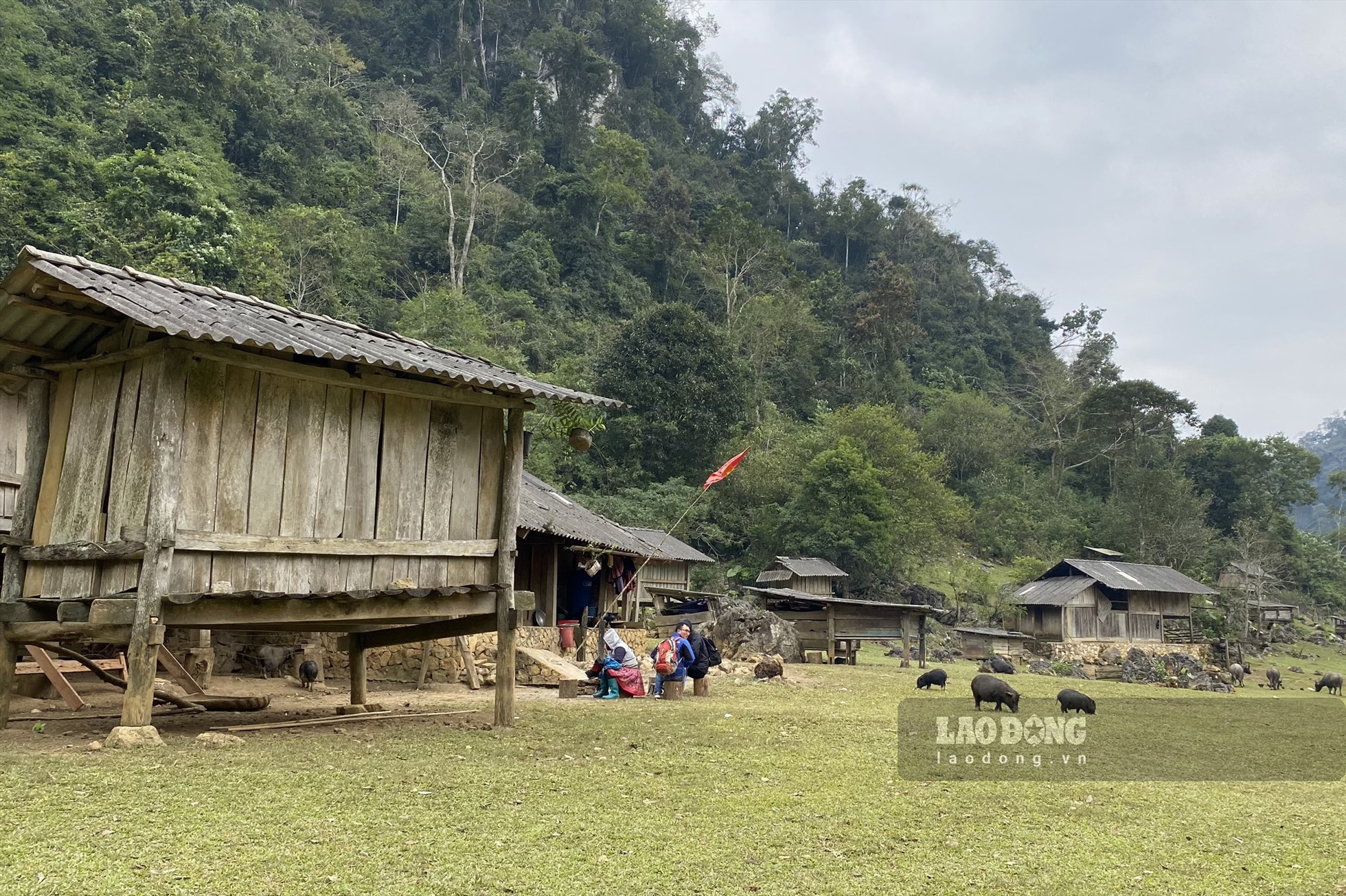 Khi tới làng, du khách có thể thuê quần áo người Mông để chụp ảnh. Đồng thời, trong những ngày ở lại thì người bản địa có thể cung cấp thức ăn như: Gà, ngan, vịt mà họ nuôi tại đây.