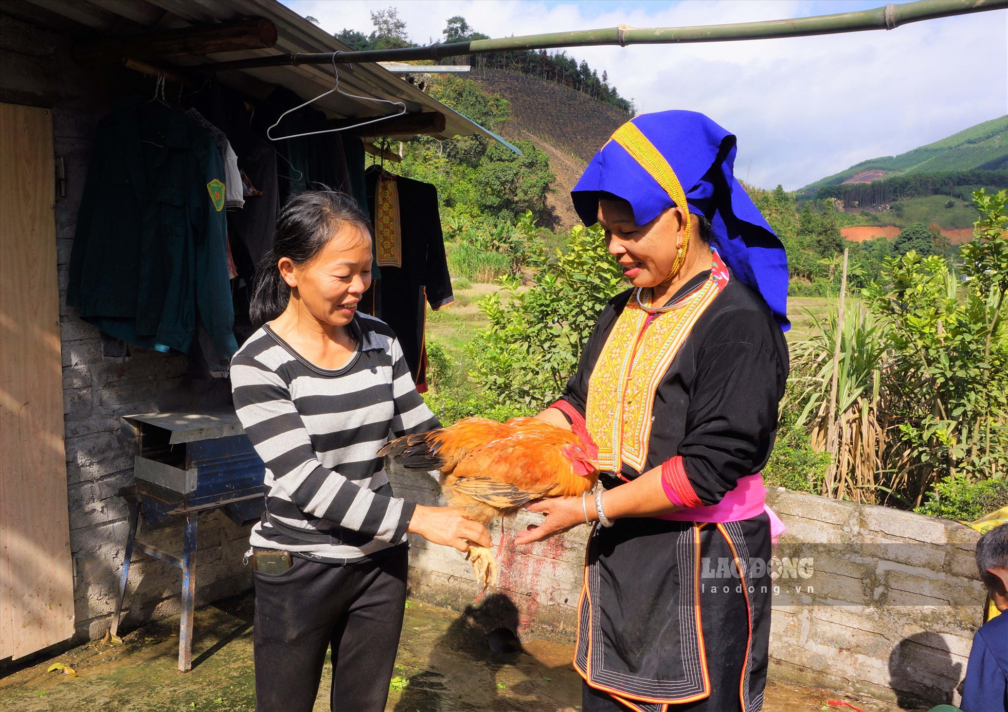 Mỗi gia đình khi đến sẽ đóng góp một con gà và rượu. Ảnh: Đoàn Hưng