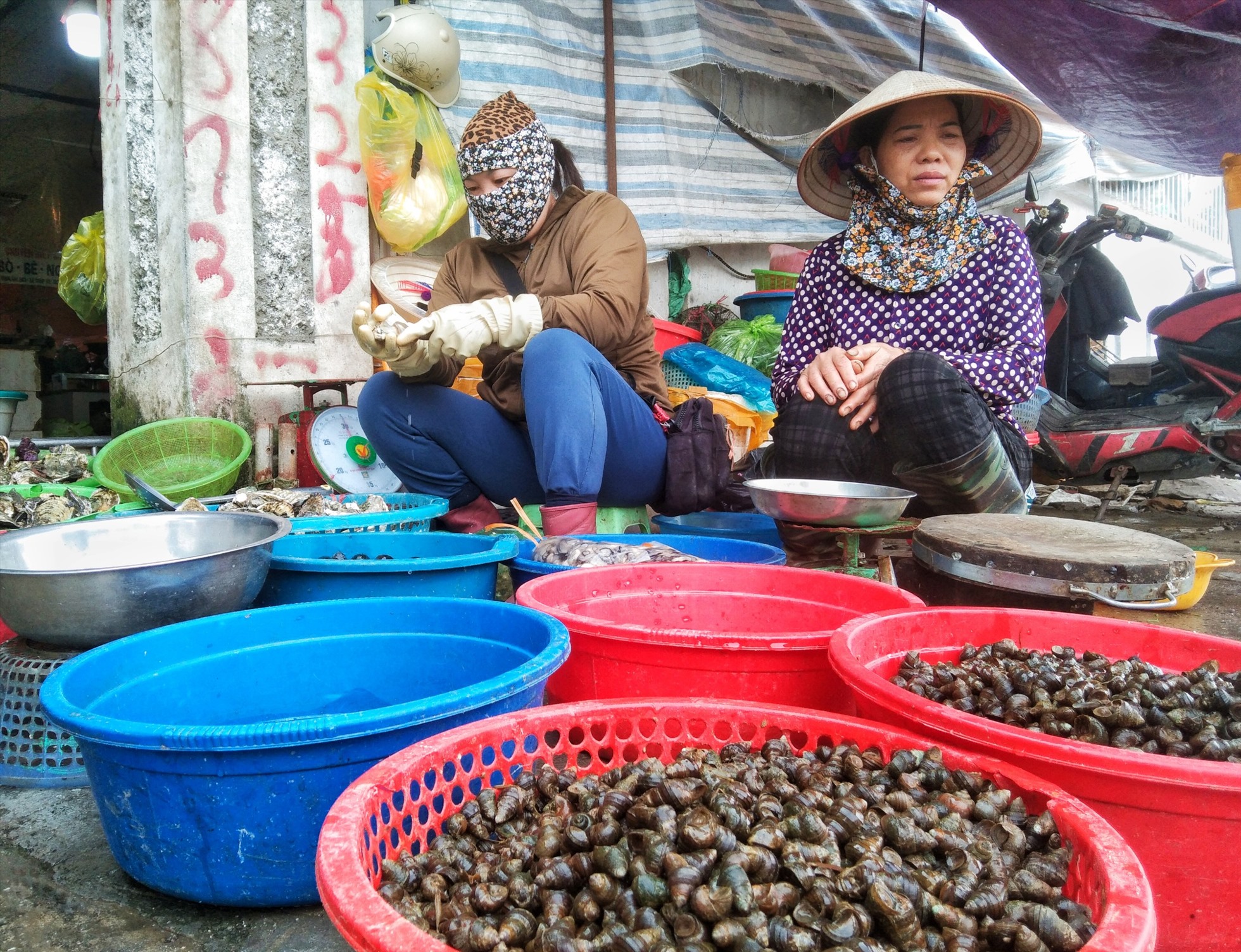 Những mẻ lưới đầy ắp hải sản được ngư dân đem bán tại khu chợ Gú (thị trấn Diêm Điền, huyện Thái Thụy). Ảnh: Lương Hà