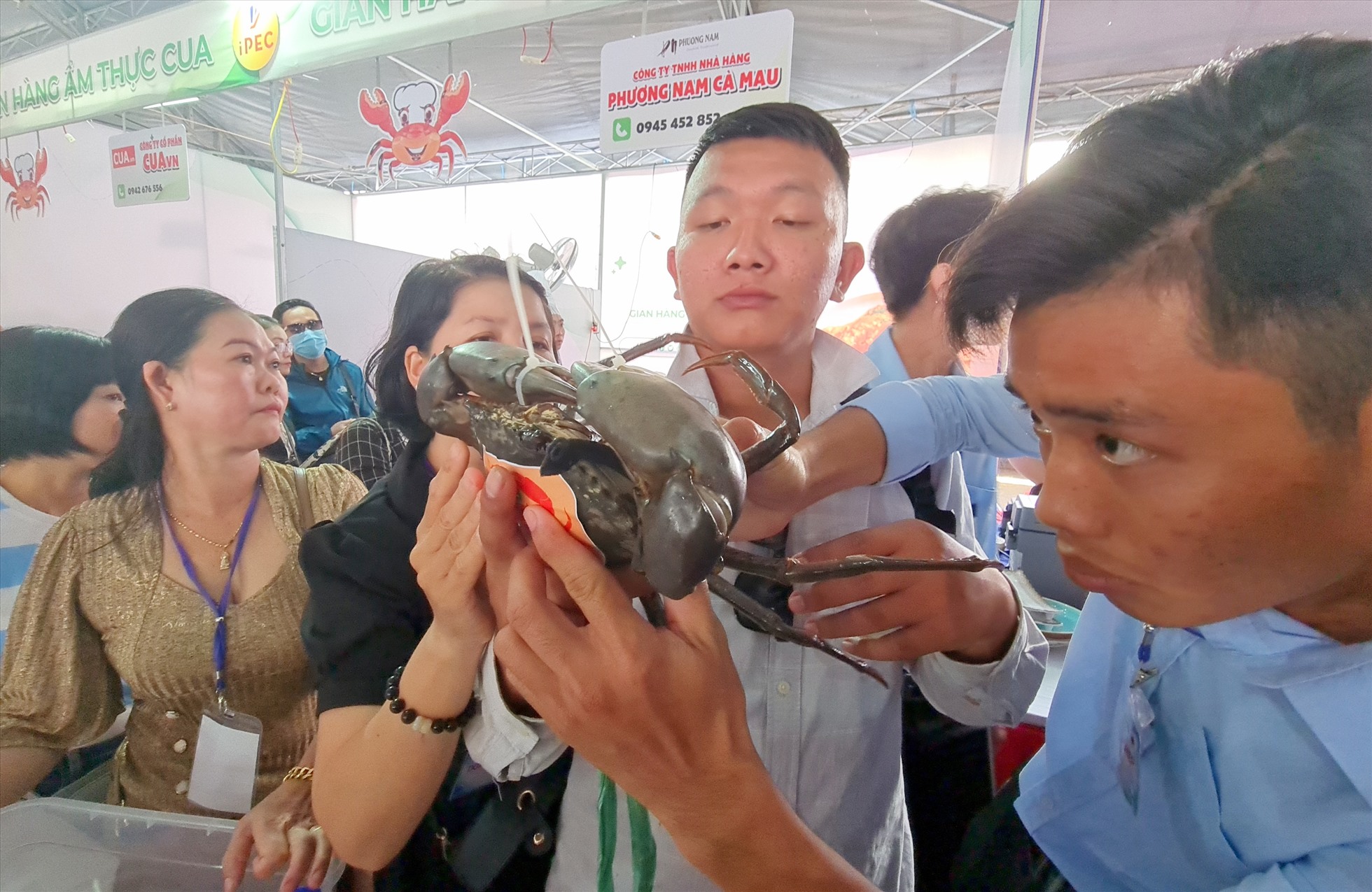 Tại tỉnh Cà Mua không hiếm có những con cua to đến 1.4 kg khiến ba, bốn người  cùng nhau trói. Ảnh: Nhật Hồ