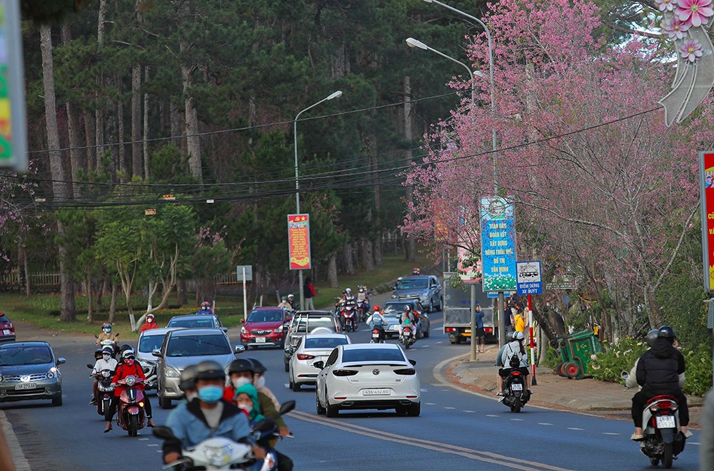 Phố Trần Hưng Đạo (TP.Đà Lạt) khá thông thoáng, phương tiện giao thông lưu thông thuận lợi. Ảnh: Văn Bảo