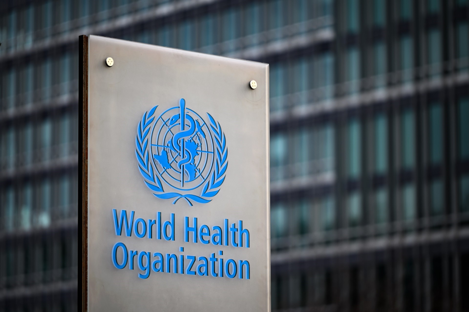Logo của Tổ chức Y tế Thế giới (WHO). Ảnh: AFP