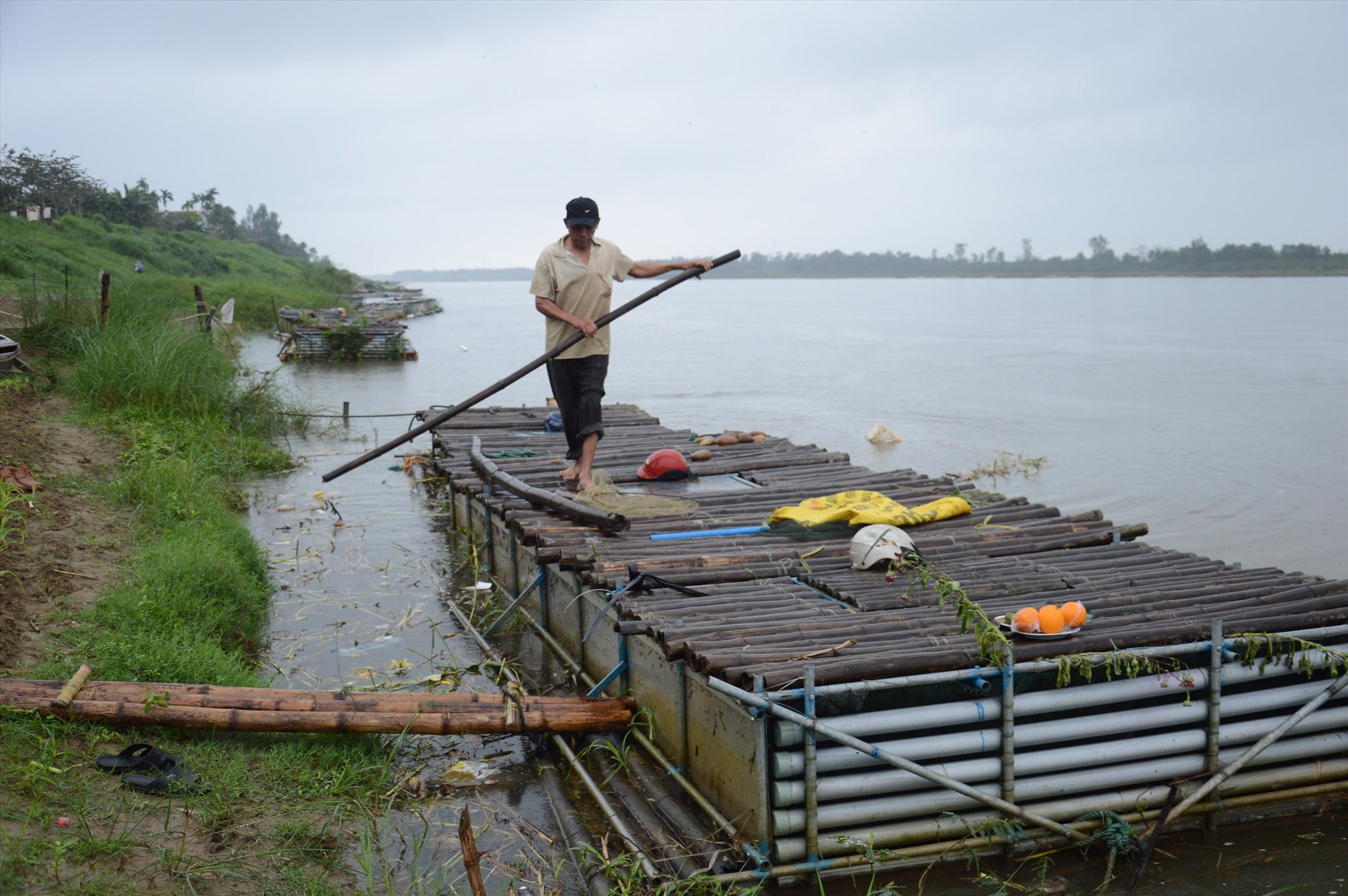 Nghề nuôi cá lồng bè trên sông Trà Khúc của người dân Quảng Ngãi đã có từ lâu đời, đây là nghề mang lại nguồn thu nhập chính của nhiều người. Ảnh: Ngọc Viên