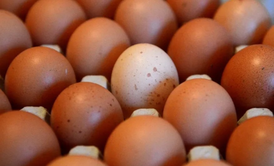 1. Trứng là thực phẩm có hàm lượng calo thấp, giúp bạn nhanh no từ đó hỗ trợ giảm cân hiệu quả. Các nghiên cứu cho thấy, những người thừa cân ăn trứng thay cho bánh mì có xu hướng no lâu hơn trong 36 giờ tiếp theo. Ngoài ra, người ăn sáng với trứng liên tục trong 8 tuần có khả năng giảm cân cao hơn người không ăn trứng.