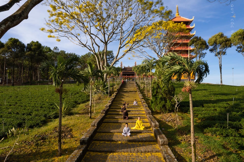 “Bạn nào đi Đà Lạt ghé ngang thăm tu viện Bát Nhã nhé, khung cảnh an yên rũ bụi hồng trần lắm, mà nhớ đi sớm khi sương mây còn bảng lảng nha, trưa nắng lên mây tan sẽ không đẹp bằng nè” - Nhiếp ảnh gia chia sẻ.