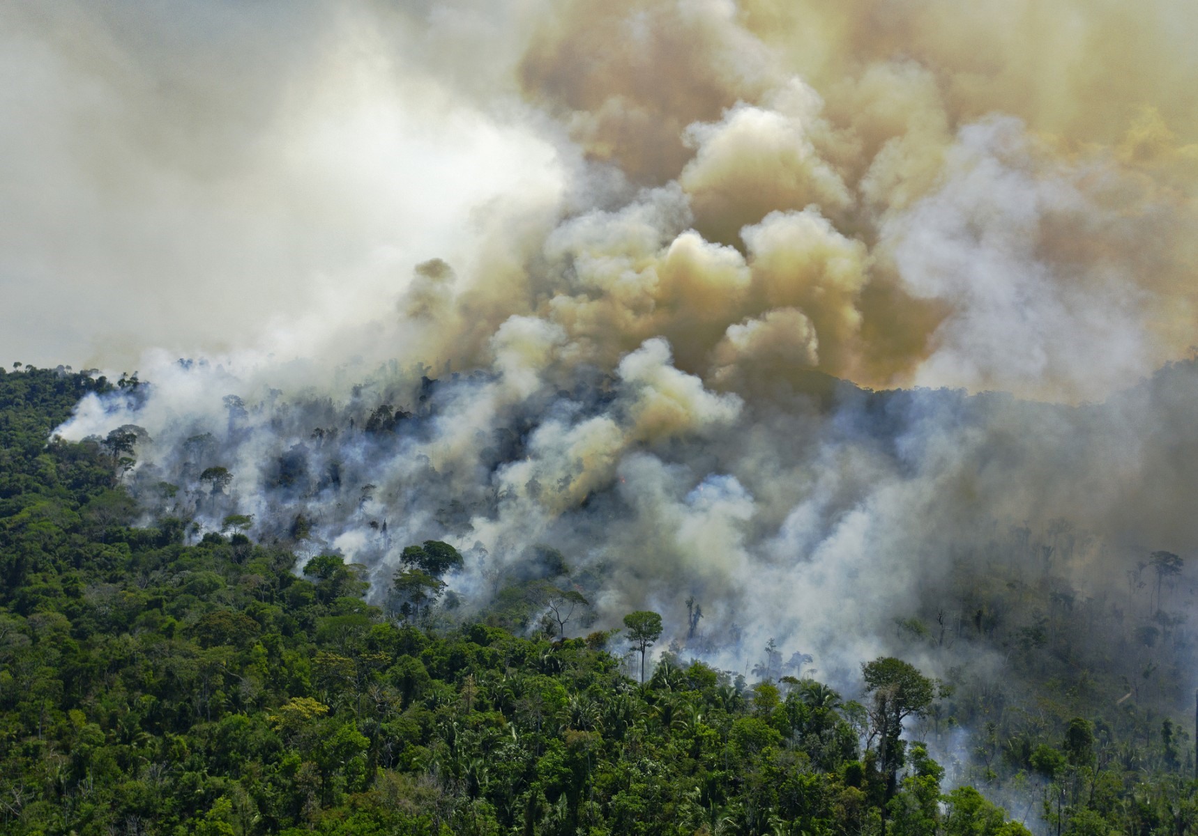 Cháy rừng Amazon ở Novo Progresso, Brazil. Ảnh: AFP