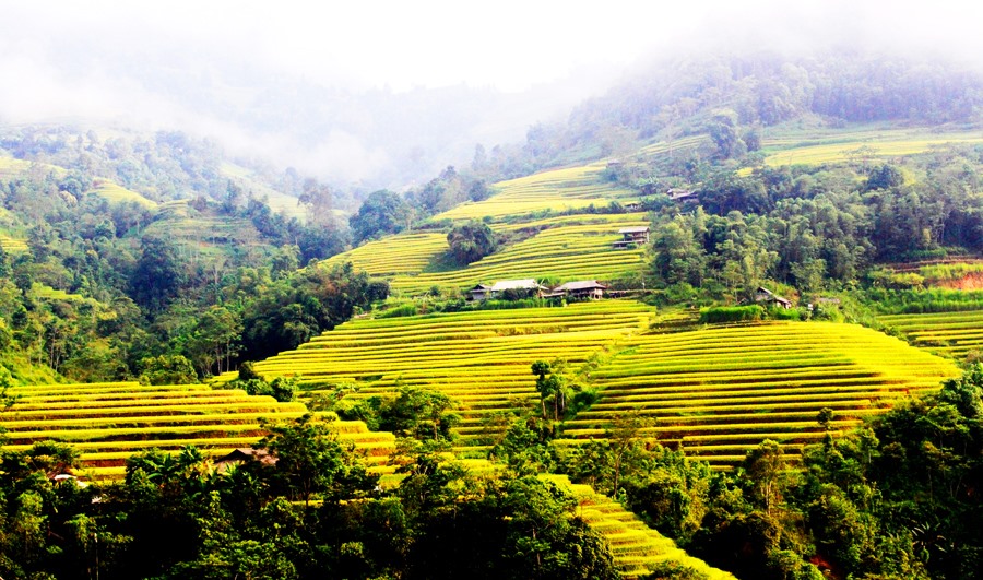 Đồng bào sống ngay cạnh những thửa ruộng bậc thang, hoà mình với thiên nhiên.  Ảnh: Nguyễn Phương.