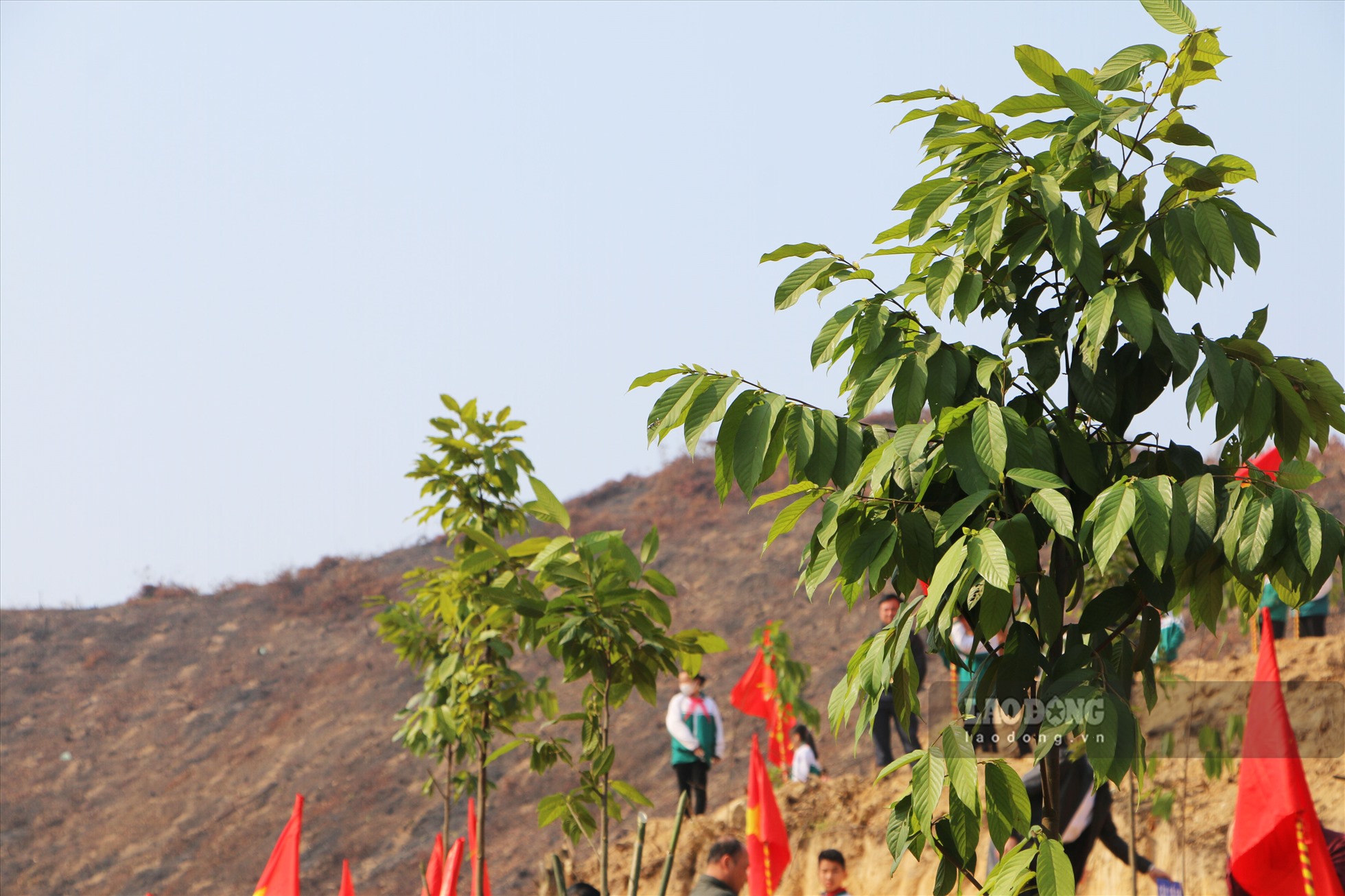 Trong thời gian tới, tỉnh Tuyên Quang đặt mục tiêu tiếp tục duy trì và nâng cao độ che phủ rừng, đẩy mạnh phát triển kinh tế nông nghiệp cũng như ứng dụng công nghệ cao trong bảo vệ và phát triển rừng.