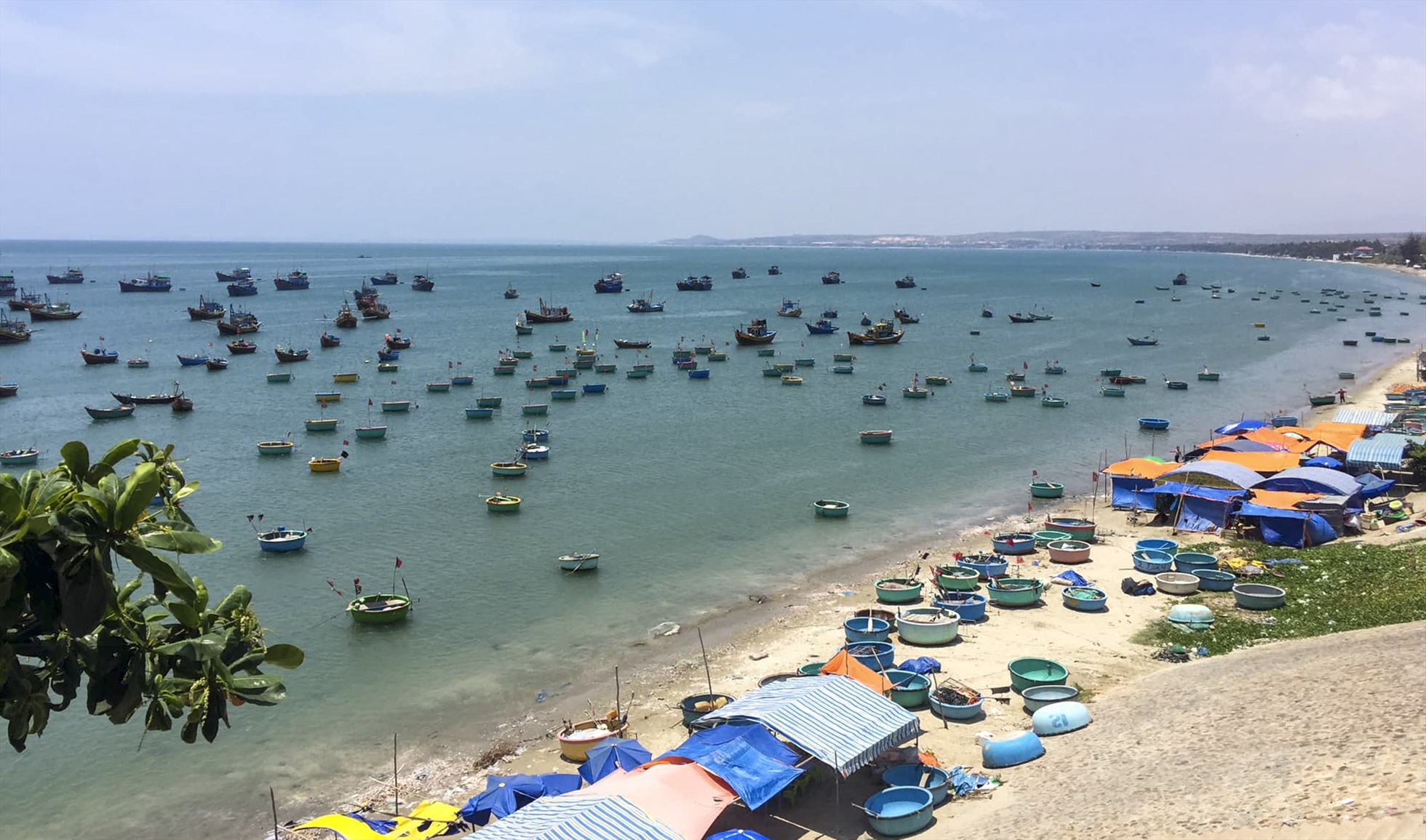 Các lều, bạt tự phát bán hải sản ngay ở bờ biển của Làng chài Mũi Né. Ảnh: Duy Tuấn