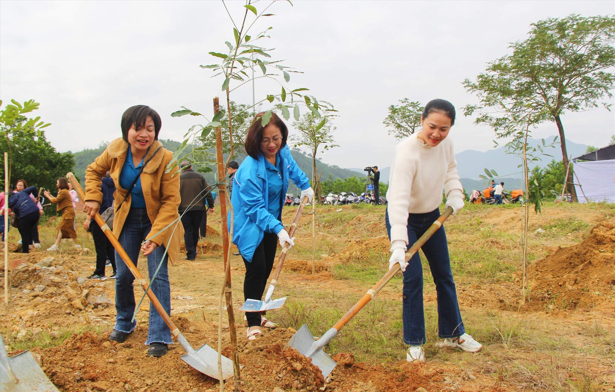 LĐLĐ thành phố Đà Nẵng tổ chức trồng 1.000 cây xanh trong năm mới. Ảnh: Tường Minh