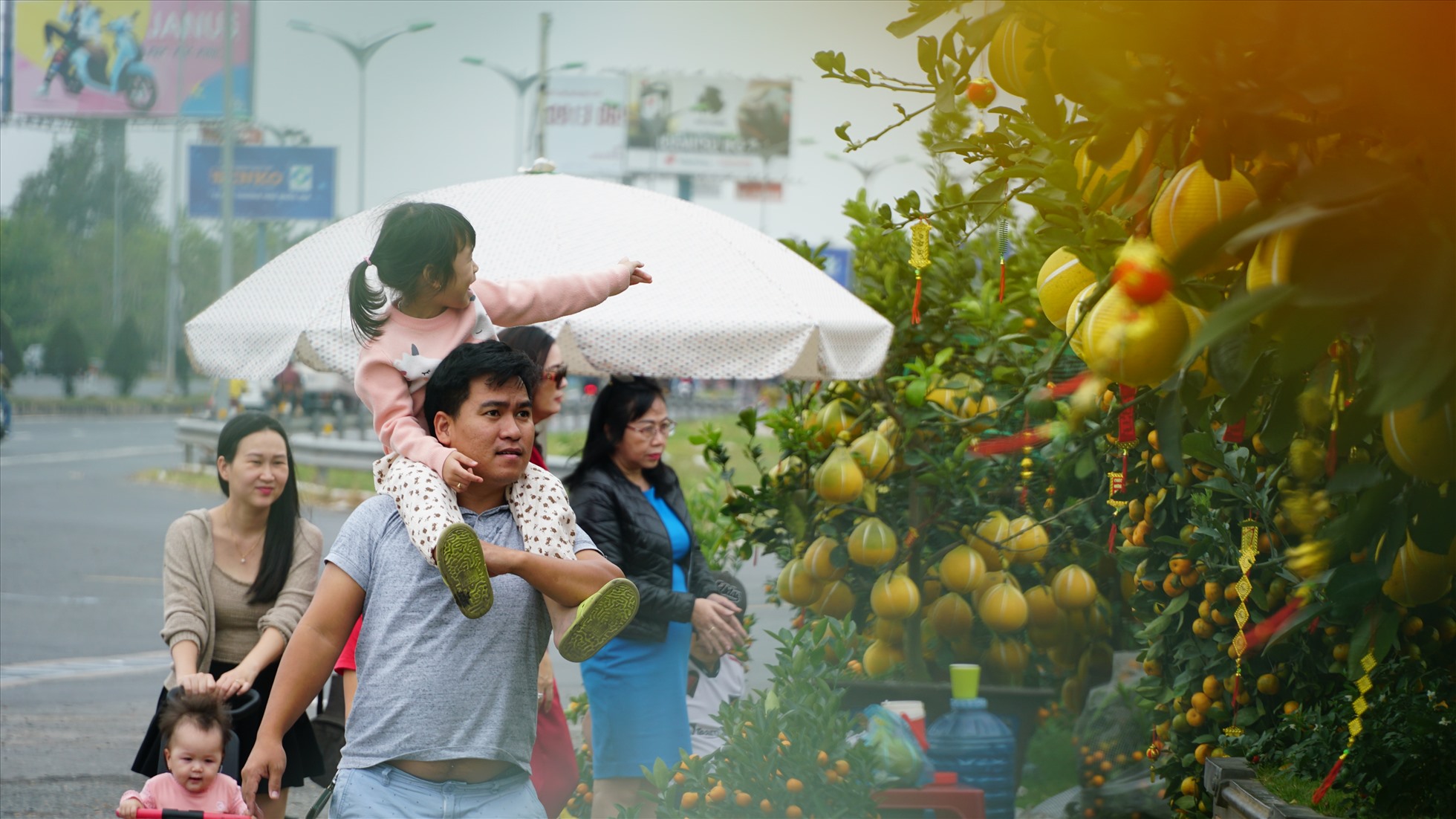 Người dân lưu thông dọc theo đường dẫn cầu Cần Thơ (phường Hưng Phú, quận Cái Răng, TP. Cần Thơ) vô cùng thích thú với hàng trăm cây bưởi Diễn cho trái vàng óng, trĩu quả và quất bonsai được trưng bày tại đây.