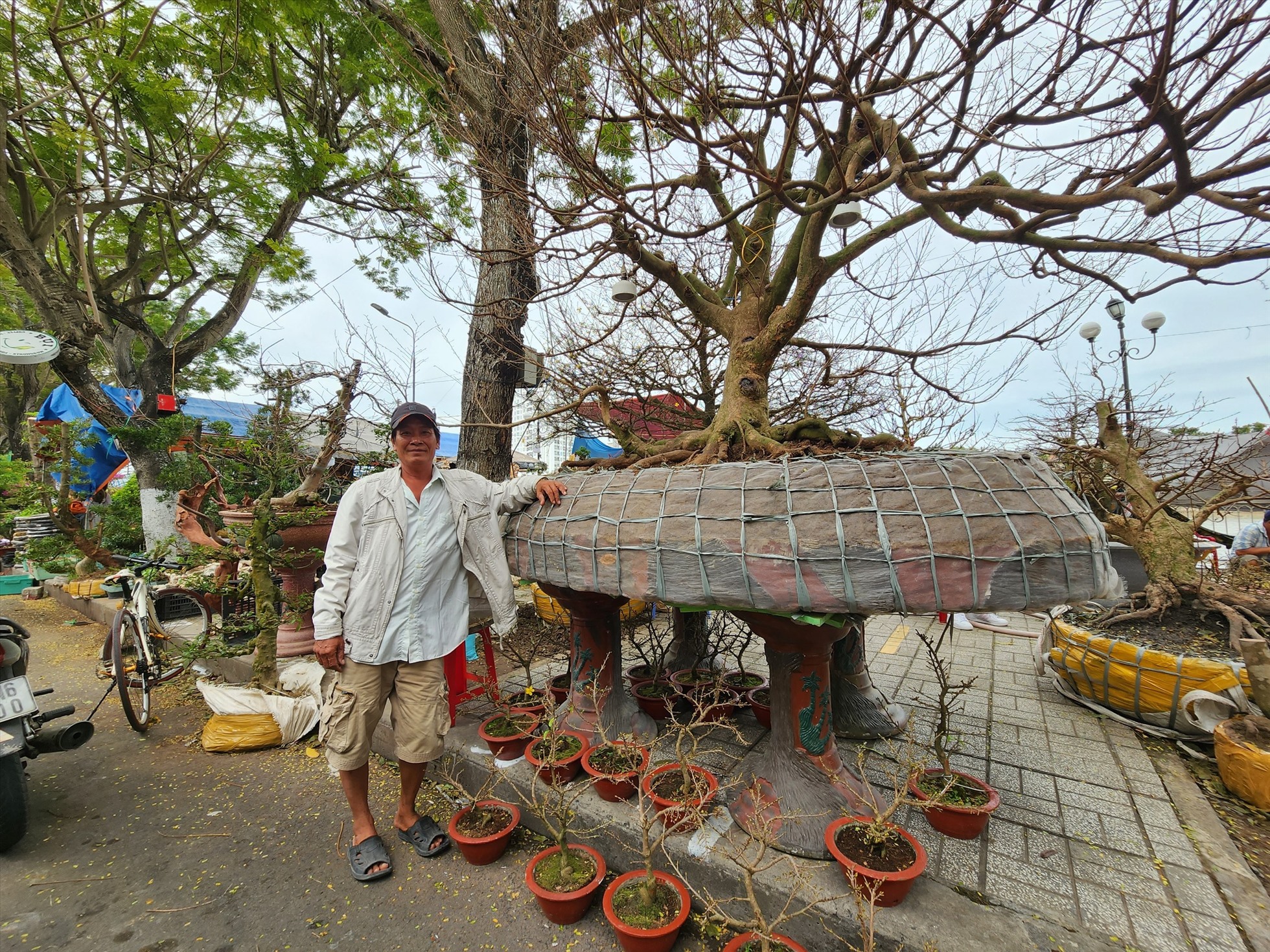 Chủ nhân của cây mai này là anh Nguyễn Văn Rạng (37 tuổi, huyện Châu Phú, tỉnh An Giang).