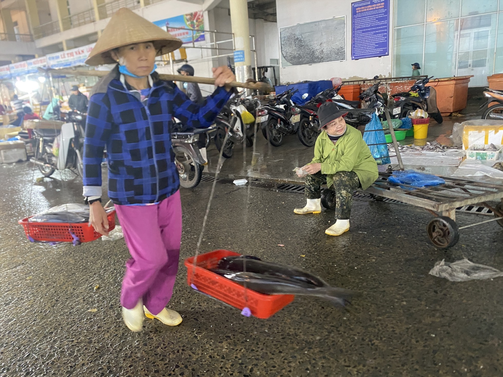 Những người làm nghề cửu vạn tại cảng cá Thọ Quang đa phần là phụ nữ từng làm nghề nông. Ảnh: Văn Trực