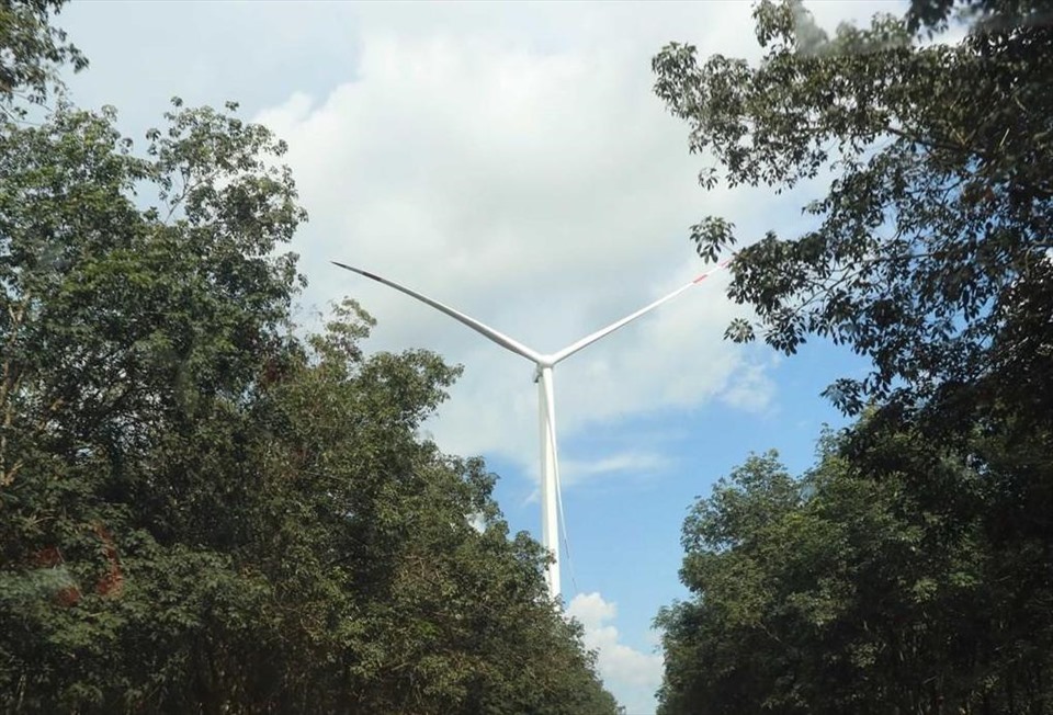 Dự án điện gió ở Gia Lai. Ảnh: TTXVN