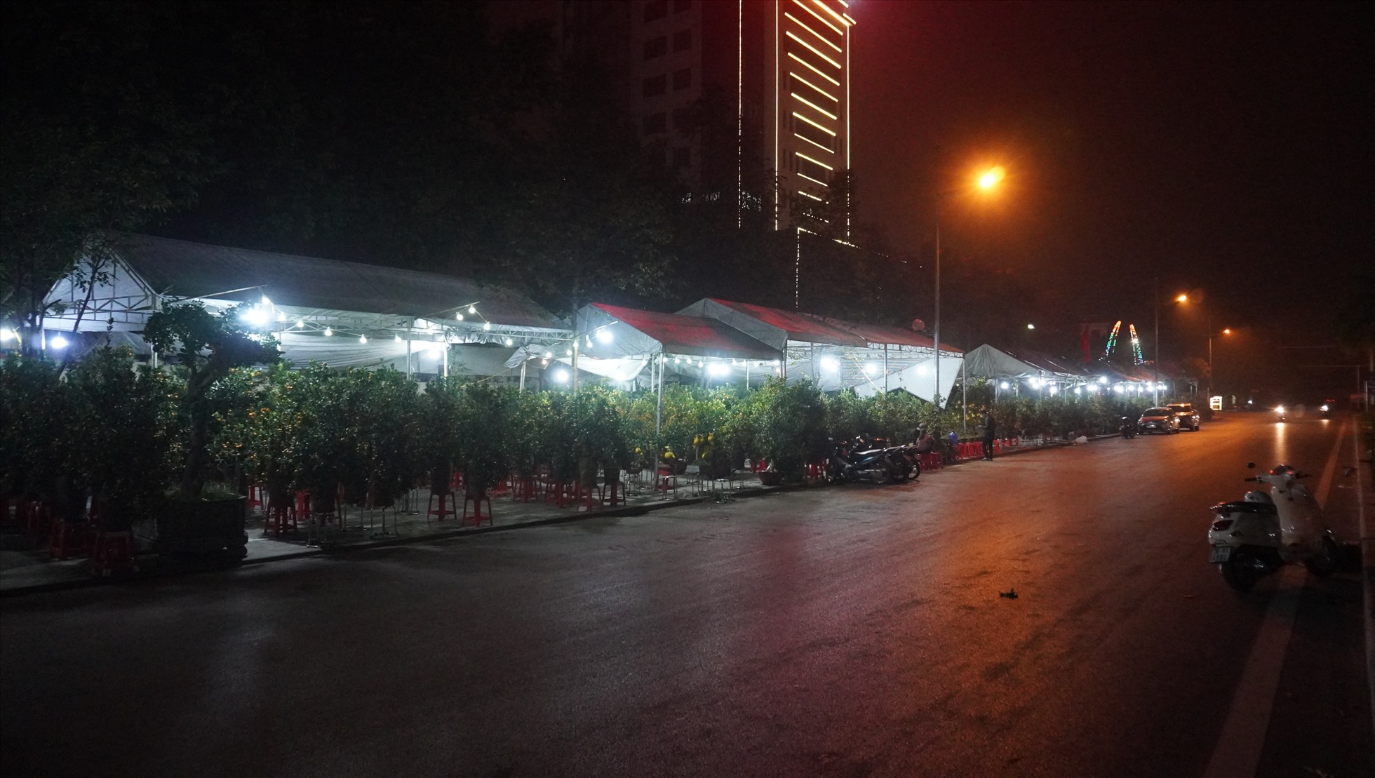 Những con phố bán hoa tết không bóng người lúc rạng sáng ngày 10.1 (ở TP.Thanh Hóa).