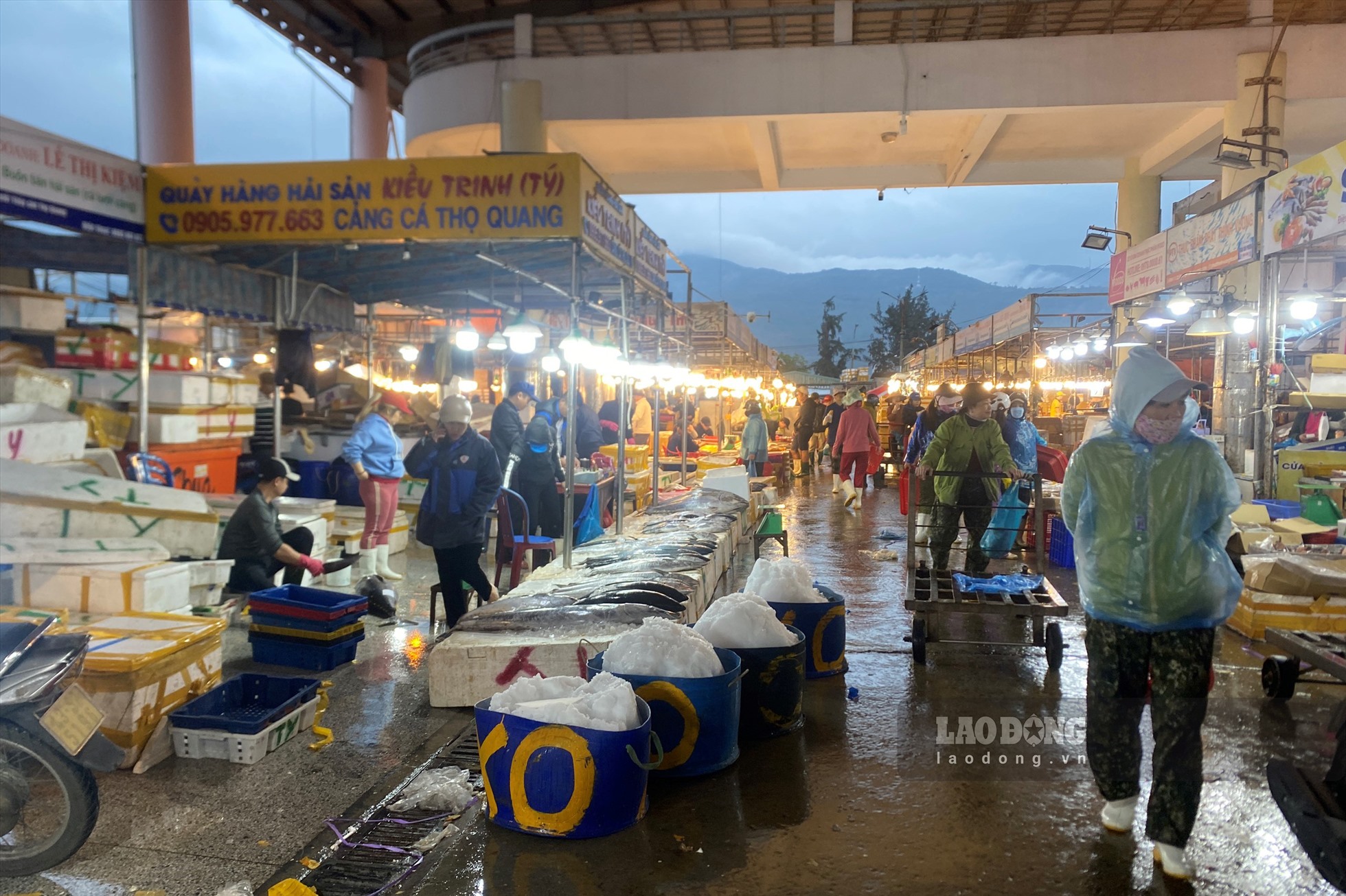 Gần 5 giờ sáng, lượng người đến cảng cá Thọ Quang vẫn khá vắng vẻ, mặc dù mọi ngày, đây là thời gian nhiều thương lái đến mua sỉ hải sản để giao đi các chợ.
