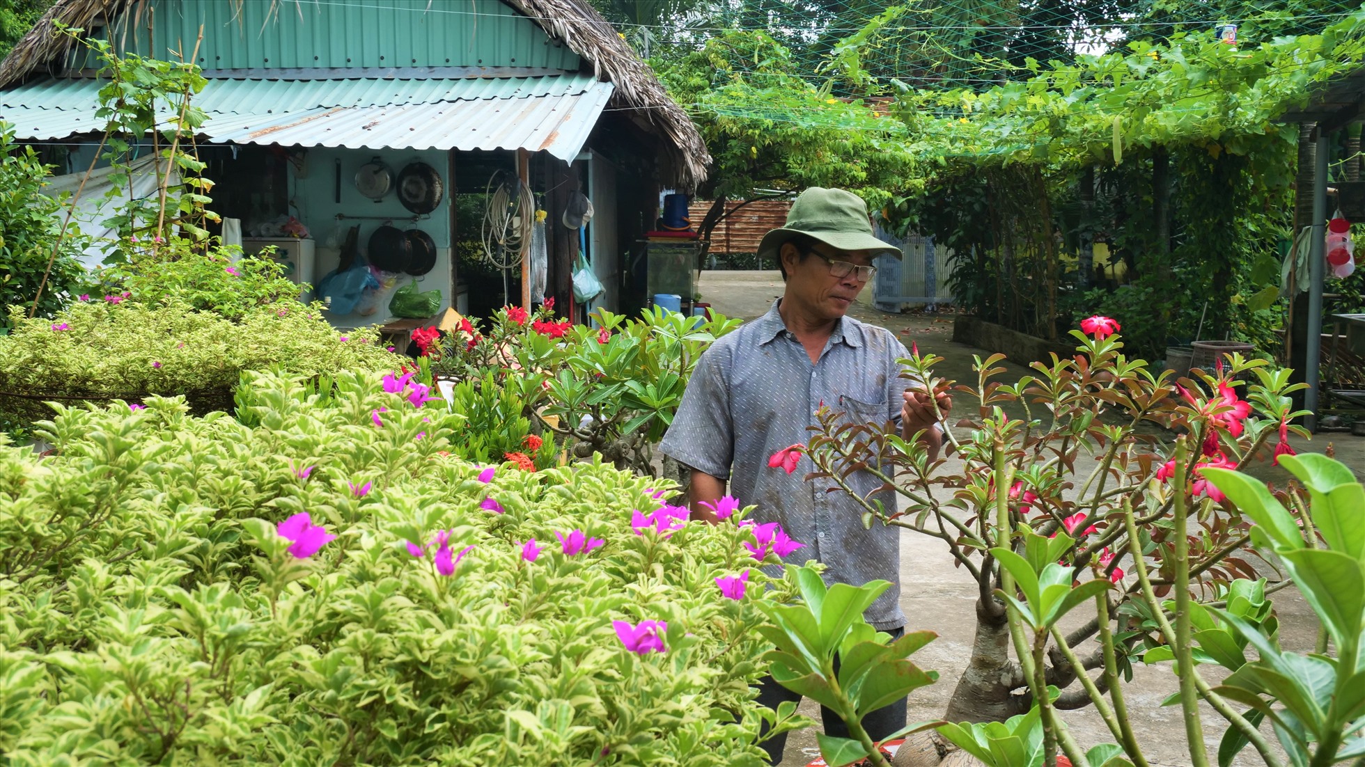 Nằm trong vùng quy hoạch “treo” 30 năm, người dân Bình Quới - Thanh Đa đi từ bức xúc đến chán nản vì lâm vào tình trạng “có đất mà không thể làm, có nhà mà không thể sửa”. Nằm trong vùng quy hoạch “treo” 30 năm, người dân Bình Quới - Thanh Đa bao nhiêu năm nay “bất lực” vì lâm vào tình trạng có đất mà không thể làm gì.   Ông Út (56 tuổi, ngụ Bình Quới) ngao ngán kể: “Nhiều gia đình trong đó có cả gia đình tôi đã chờ đợi dự án này hơn 30 năm nay. Chờ từ đời này sang đời khác, có những người thậm chí còn không thể chờ nổi mà phải bán đất, bán nhà chuyển đi nơi khác sống”.  Theo ông Út, gia đình ông không thể xây mới nhà cửa vì chẳng biết lúc nào dự án sẽ lại tái khởi động. “Mặc dù được phép nâng cấp, sửa chữa nhà ở để người dân ổn định đời sống nhưng công tác giải toả, đền bù chưa hoàn thiện nên chúng tôi cũng chẳng dám sửa sang“, ông Út nói. Ông Út (56 tuổi, ngụ Bình Quới) ngao ngán kể: “Nhiều gia đình trong đó có cả gia đình tôi đã chờ đợi dự án này hơn 30 năm nay. Chờ từ đời này sang đời khác, có những người thậm chí còn không thể chờ nổi mà phải bán đất, bán nhà chuyển đi nơi khác sống”. Theo ông Út, gia đình ông không thể xây mới nhà cửa vì chẳng biết lúc nào dự án sẽ lại tái khởi động. Mặc dù được phép nâng cấp, sửa chữa nhà ở để người dân ổn định đời sống nhưng công tác giải toả, đền bù chưa hoàn thiện nên chúng tôi cũng chẳng dám sửa sang.  Ông Út (56 tuổi, ngụ Bình Quới) ngao ngán kể: “Nhiều gia đình trong đó có cả gia đình tôi đã chờ đợi dự án này hơn 30 năm nay. Chờ từ đời này sang đời khác, có những người thậm chí còn không thể chờ nổi mà phải bán đất, bán nhà chuyển đi nơi khác sống”. Theo ông Út, gia đình ông không thể xây mới nhà cửa vì chẳng biết lúc nào dự án sẽ lại tái khởi động. Mặc dù được phép nâng cấp, sửa chữa nhà ở để người dân ổn định đời sống nhưng công tác giải toả, đền bù chưa hoàn thiện nên người dân cũng chẳng dám sửa sang.