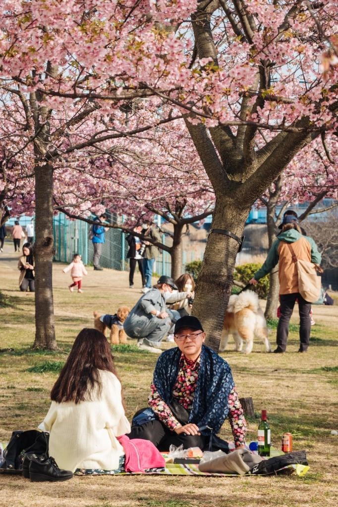 Người dân tận hưởng mùa hoa anh đào bên sông Kyunaka, ở Tokyo, Nhật Bản vào tháng 3.2022. Ảnh: Xinhua