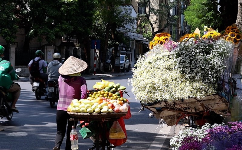 Hà Nội đẹp dịu dàng mùa cúc cuối năm