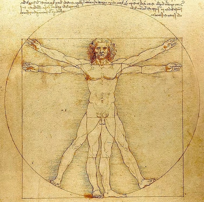 Bức họa “The Vitruvian Man” của Leonardo da Vinci áp dụng tỉ lệ vàng để mô tả cơ thể con người. Ảnh: Science Alert