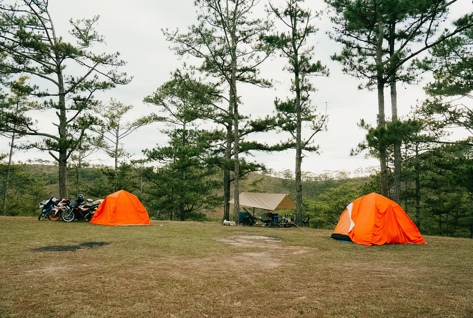 6 Địa điểm cắm trại Đà Lạt ở ngoại ô yên bình thơ mộng cho người đi lần đầu