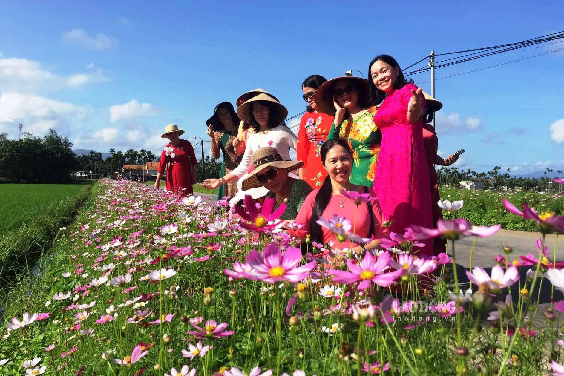 Ngoài hoa cải, Hội phụ nữ xã Đức Hòa, huyện Mộ Đức còn trồng hoa nhái, hoa cánh bướm trên các tuyến đường, kéo dài hơn 1km để làm đẹp cho làng quê vào dịp Tết Nguyên đán. Ảnh: Ngọc Viên