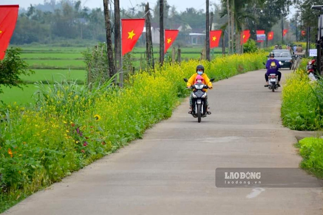 Toàn xã Đức Hòa, huyện Mộ Đức có khoảng 9 con đường liên xã được trồng các loại hoa cải, hoa nhái, hoa giấy... với tổng chiều dài 4km. Ảnh: Ngọc Viên