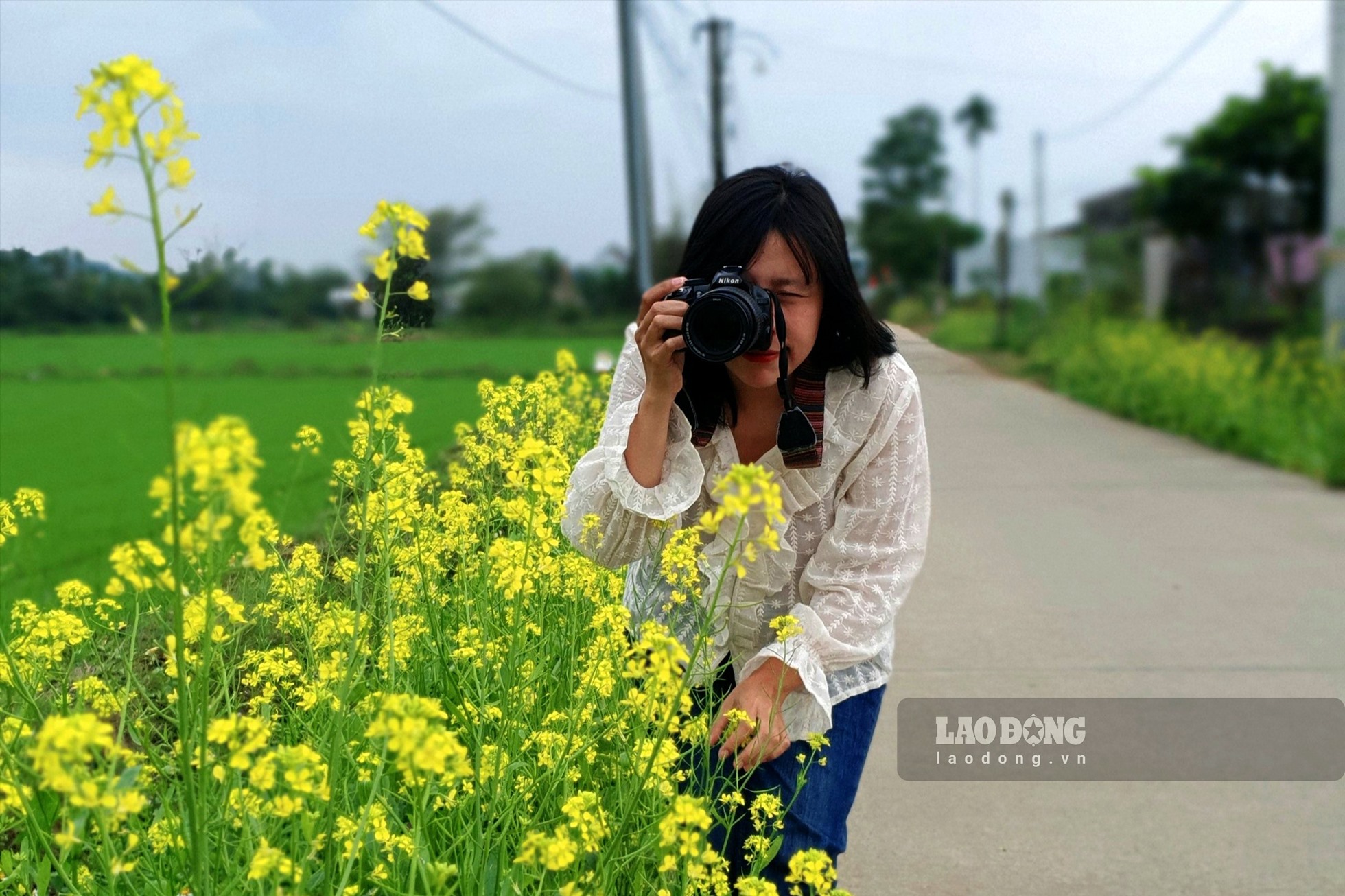 Chạy xe trên con đường làng vàng ươm màu hoa cải, nhiều du khách dừng chân để chụp ảnh hoa cải. Ảnh: Ngọc Viên