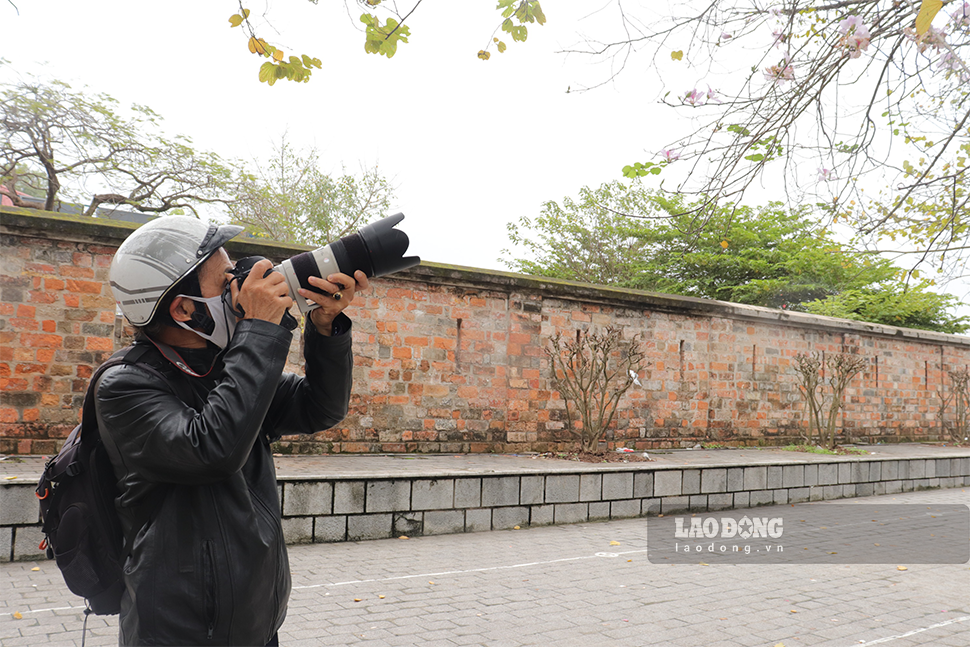 Nhiều nhiếp ảnh gia cũng “thám thính” hàng hoa Ban tại phố Hoàng Diệu.