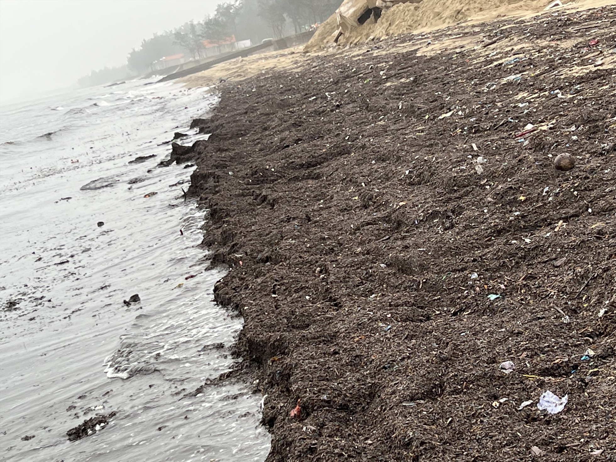 Trưởng Phòng TNMT thị xã Cửa Lò khuyến cáo người dân không vứt rác bừa bãi làm sông, biển ô nhiễm. Ảnh: Quang Đại